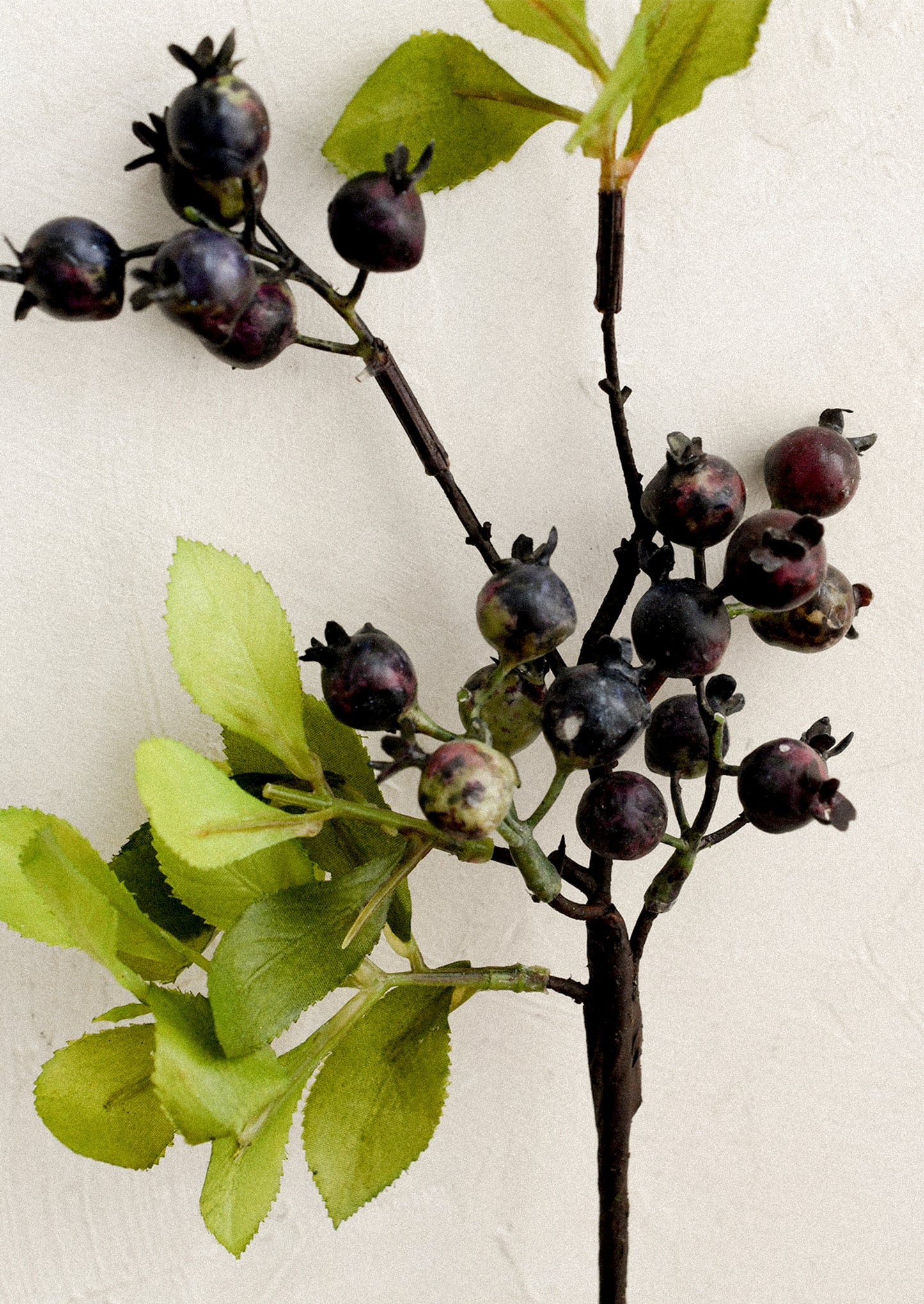 A faux greenery stem in the likeness of wild blueberries.