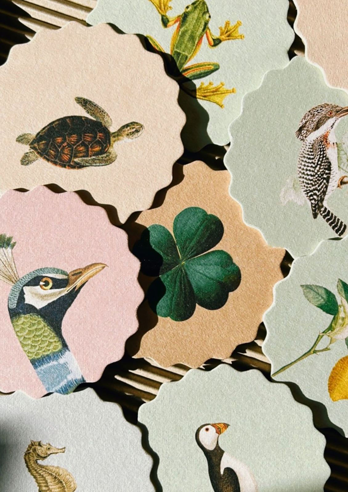 A set of scalloped edge paper coasters with 10 different animal and plant prints.