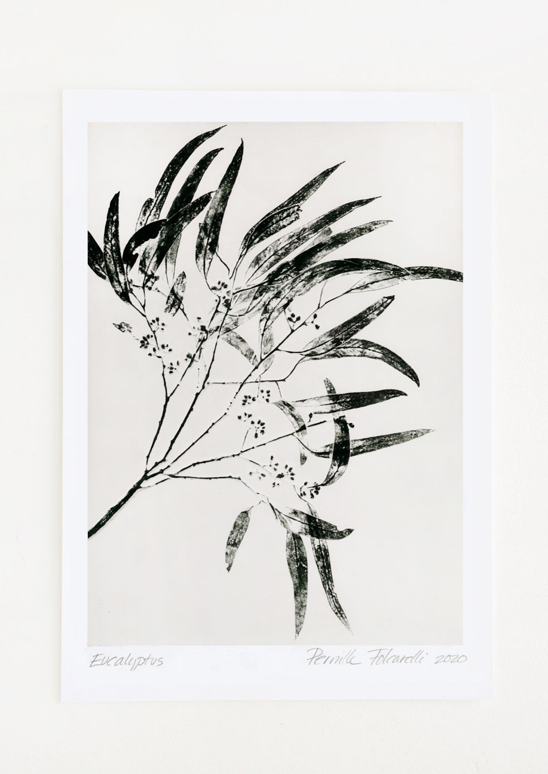 A botanical print of silhouetted eucalyptus in green on grey background.