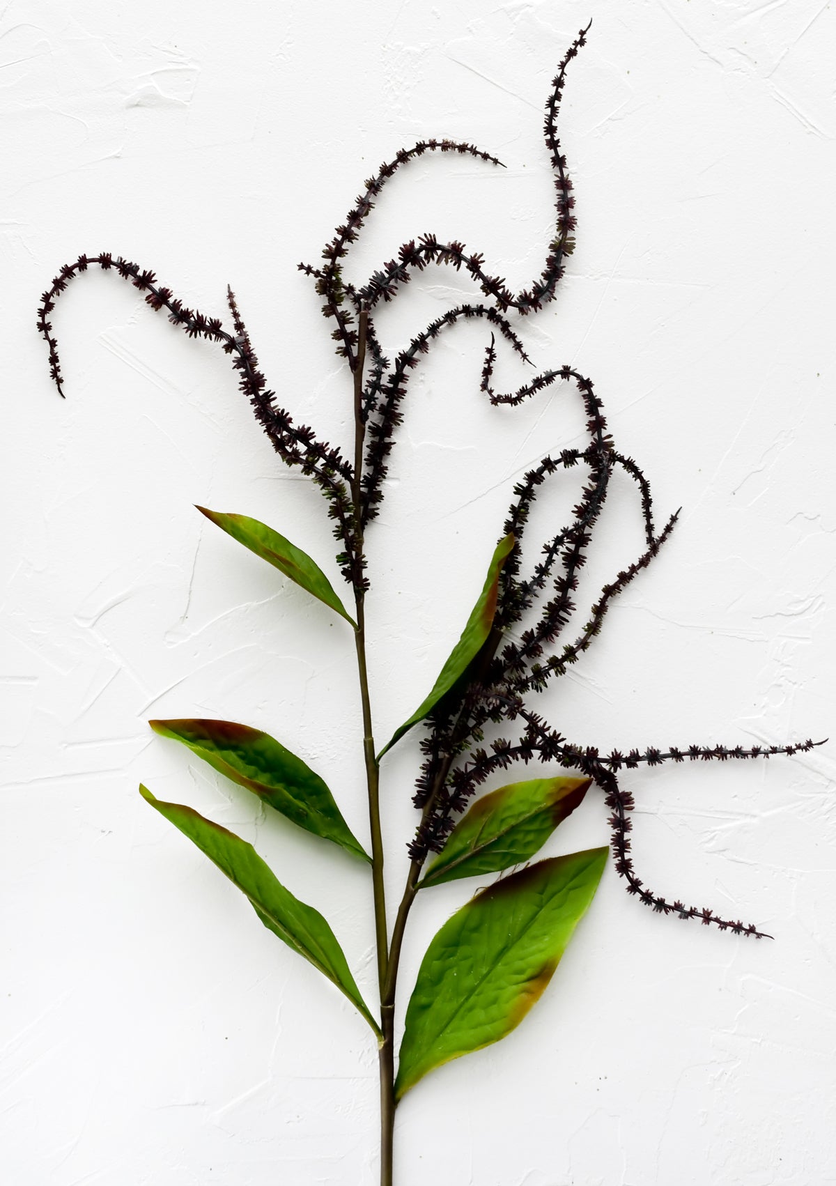 A faux amaranth spray.