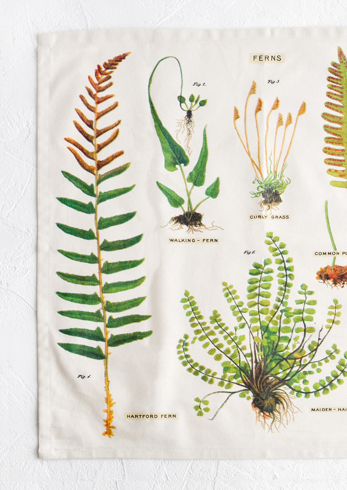 A square cotton napkin with screenprinted botanical fern print.