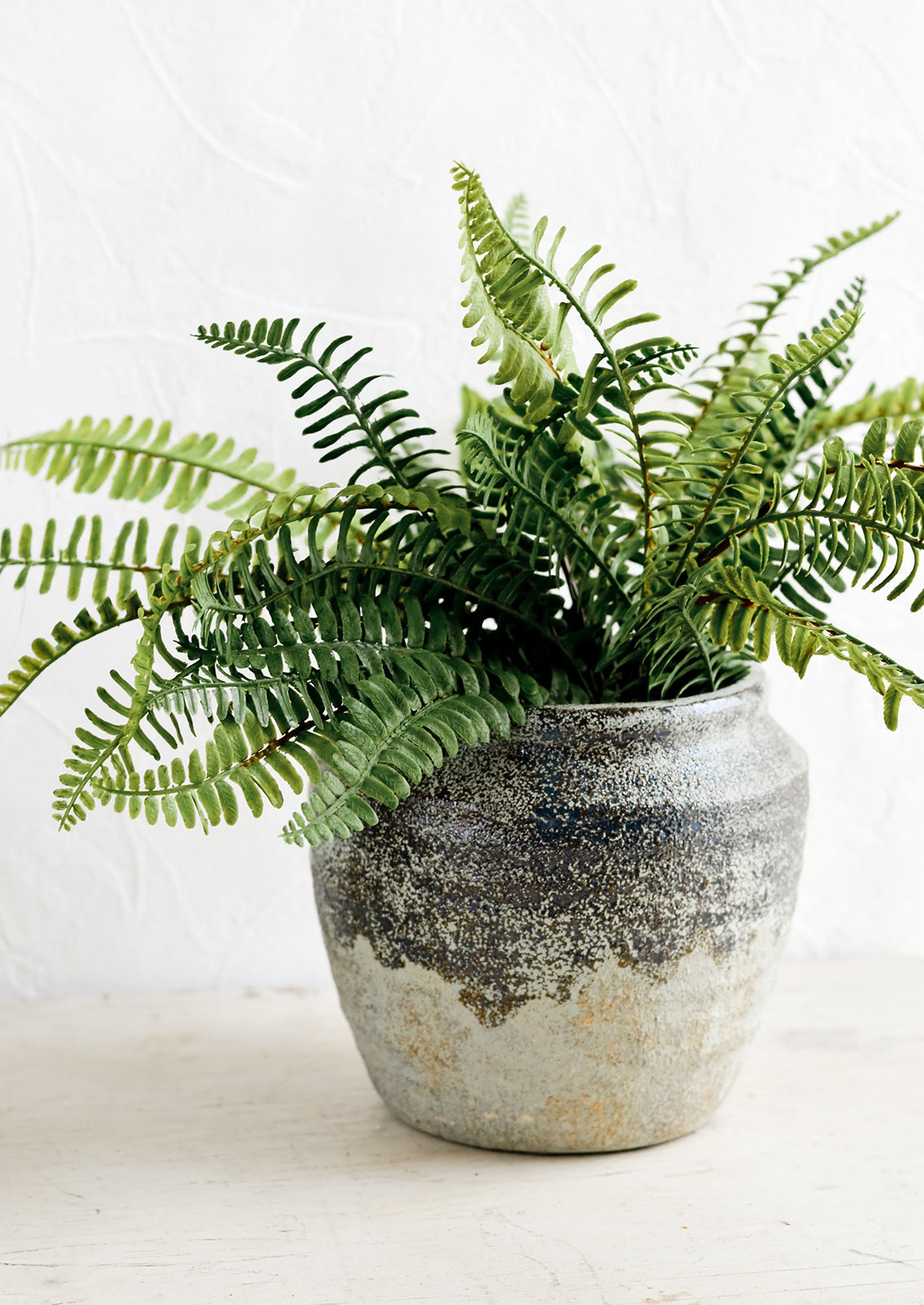 A ceramic planter in a distressed mossy green patina, housing a fern plant.