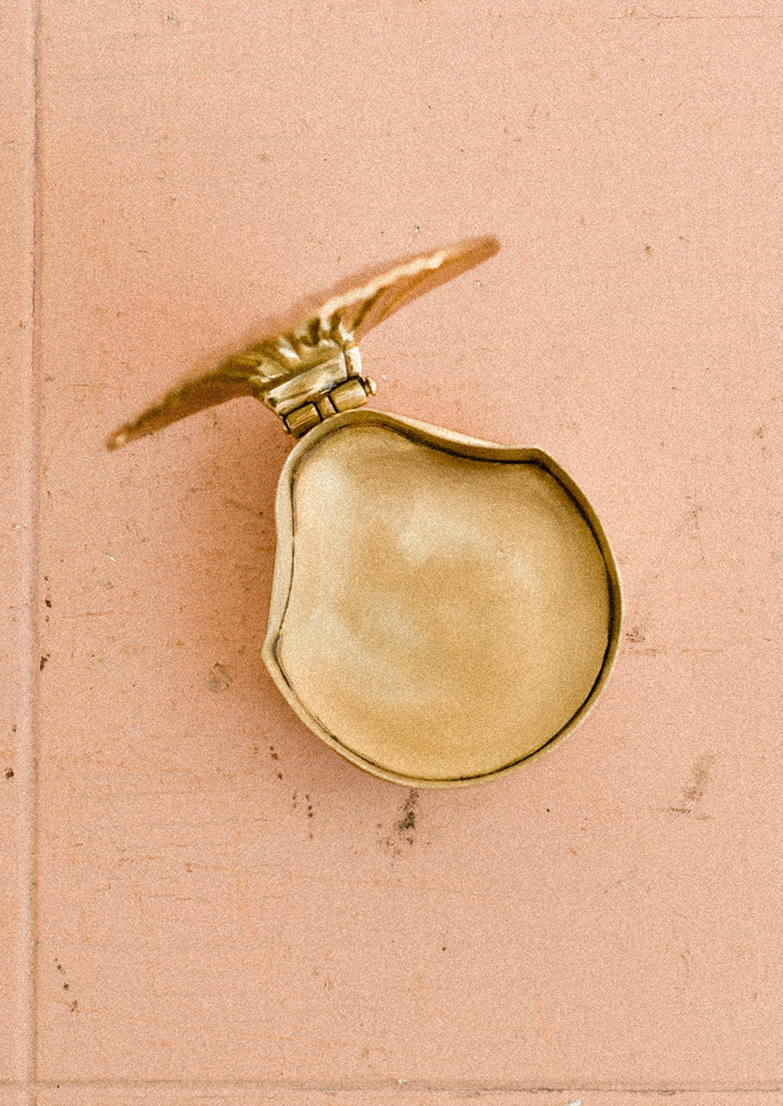 A gold shell-shaped trinket box on a wooden surface.