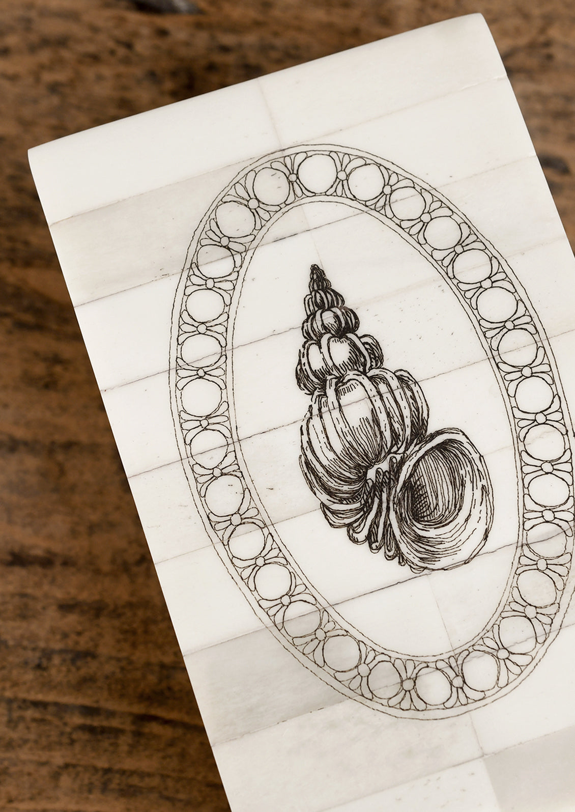 Decorative card with a shell illustration in an oval frame on a wooden surface