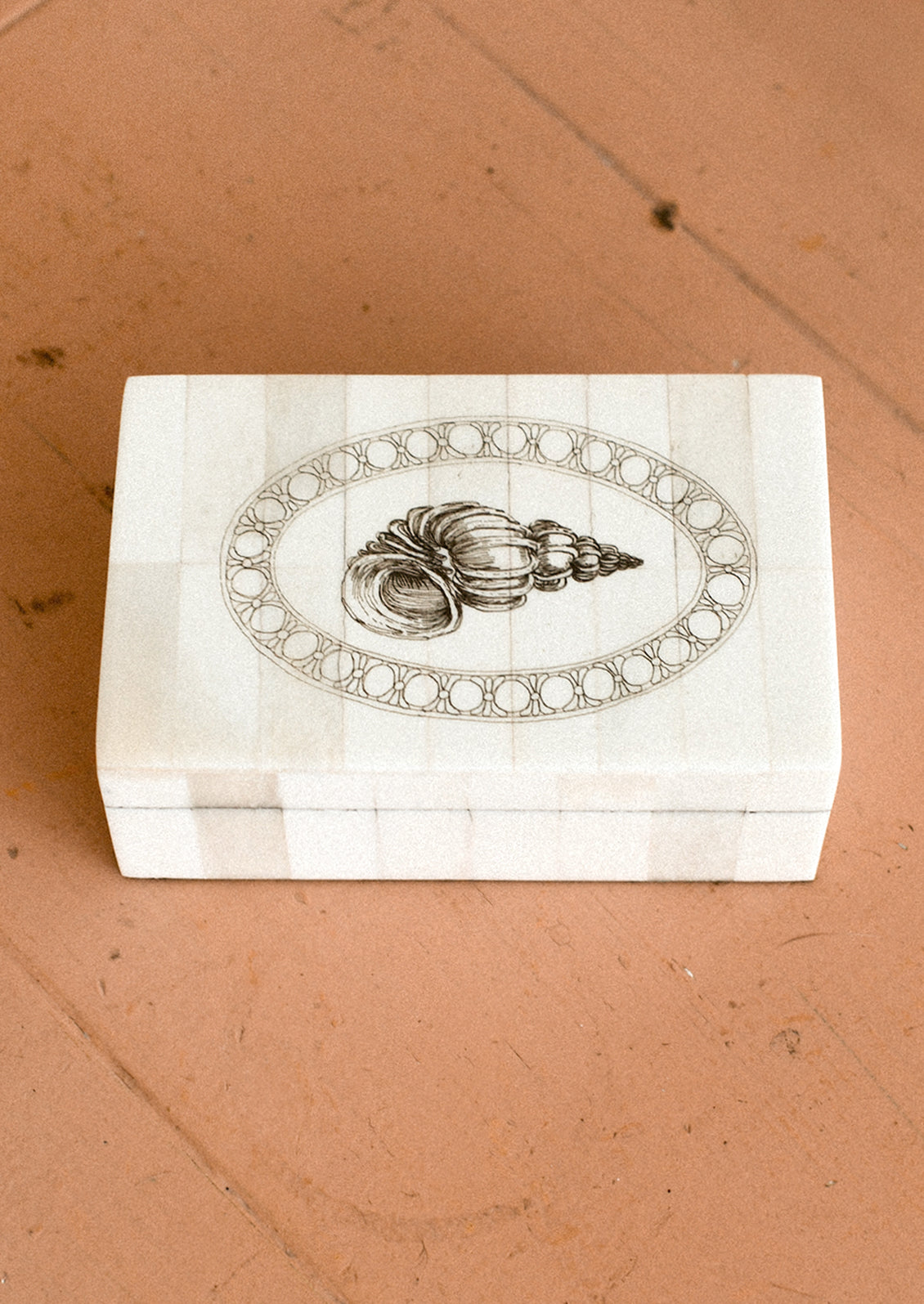 Decorative box with shell design on a brown surface