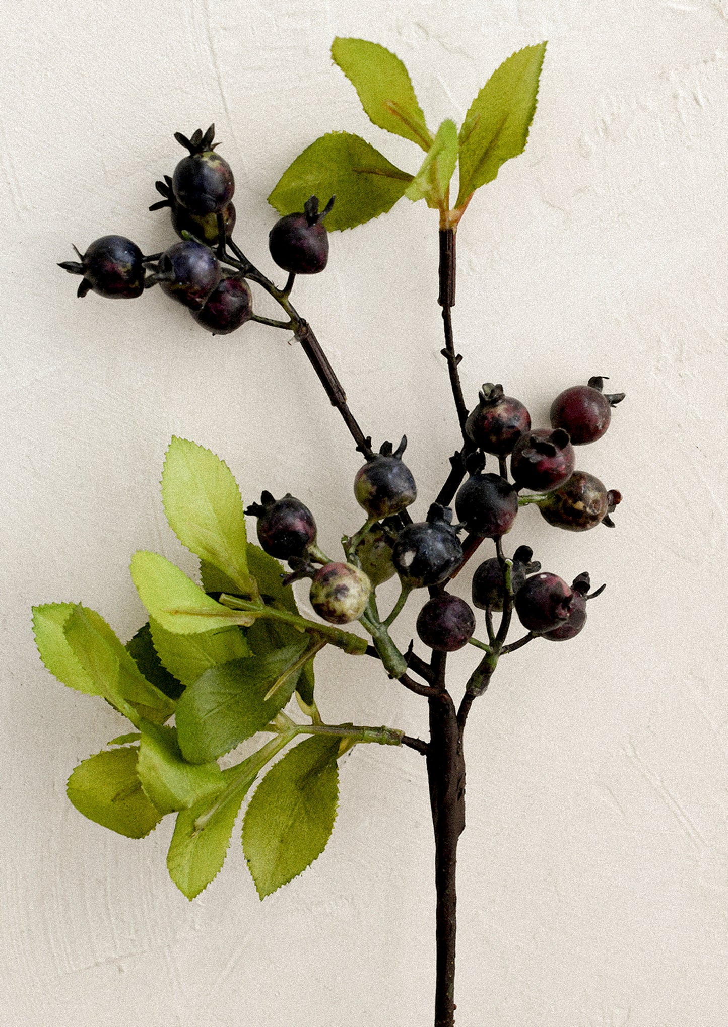 A faux greenery stem in the likeness of wild blueberries.