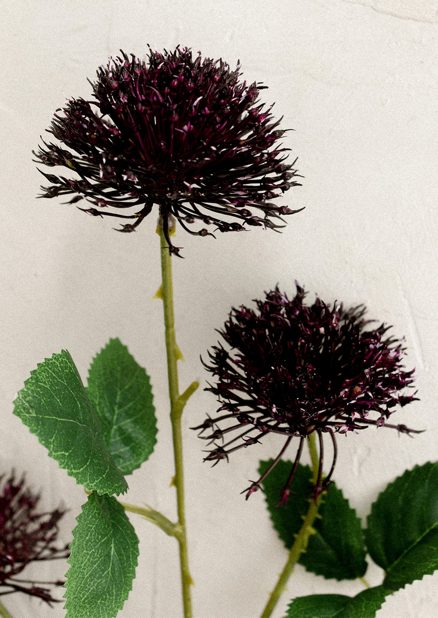 A faux flower spray in the likeness of a globe thistle plant, in dark purple.