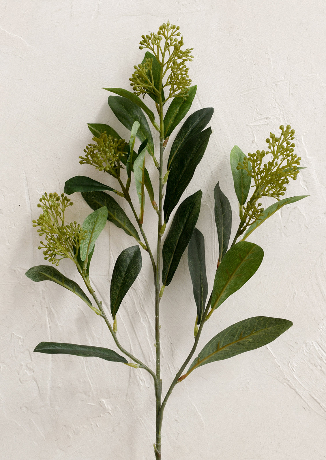 A faux greenery spray resembling Skimmia Japonica.