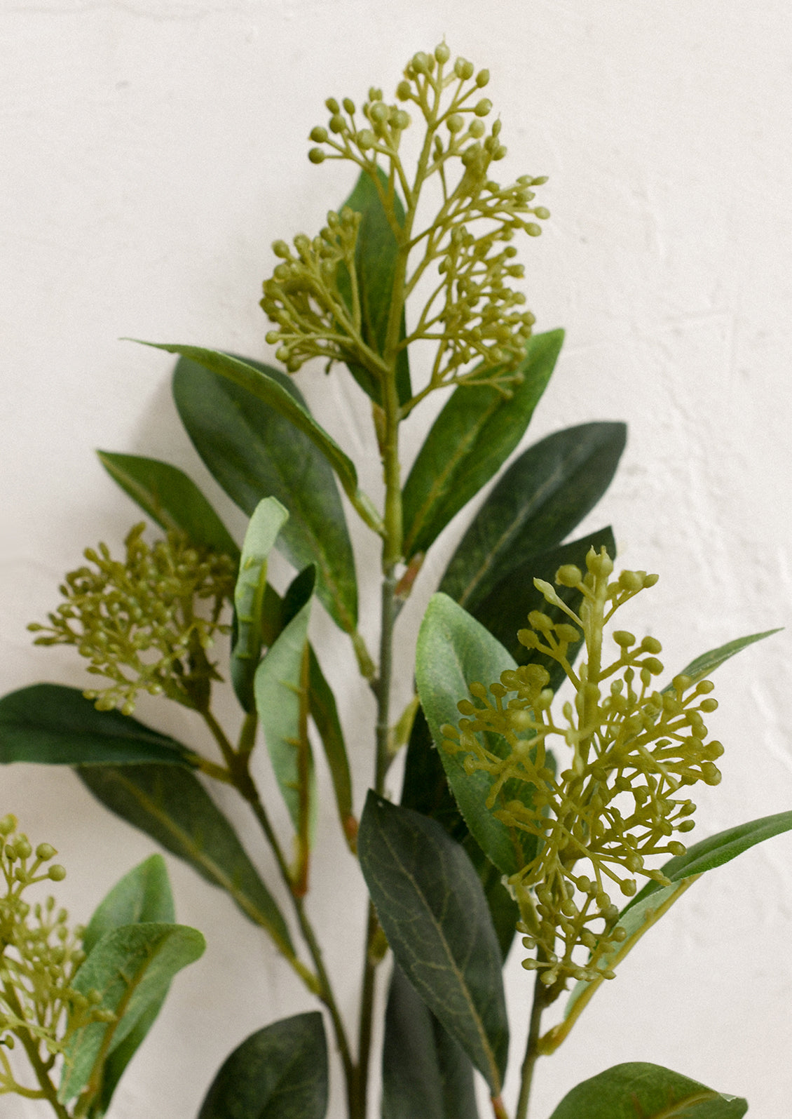 A faux greenery spray resembling Skimmia Japonica.