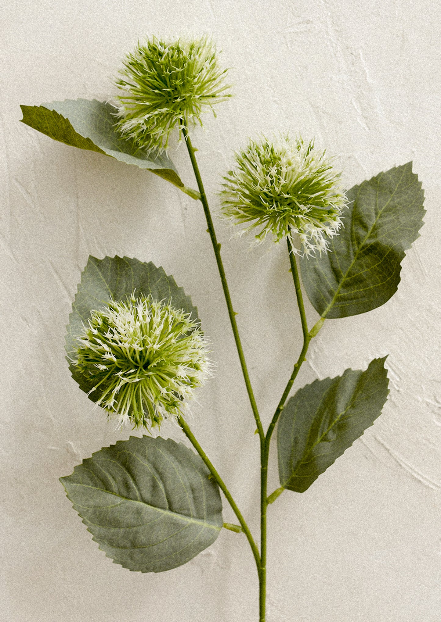 A faux flower spray resembling Echinops aka Globe Thistle.