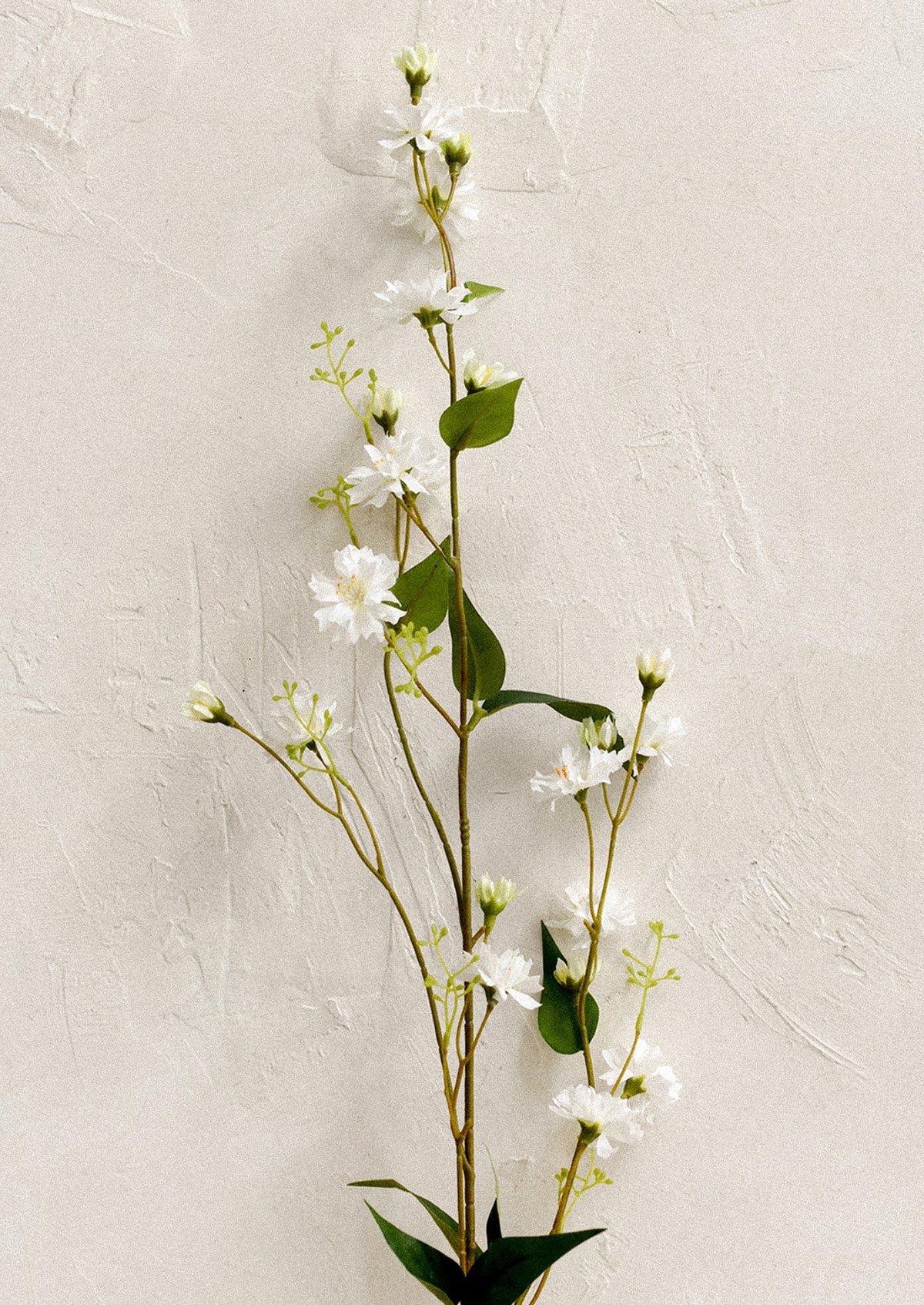 A faux flower spray in the likeness of white pilosella flowers.