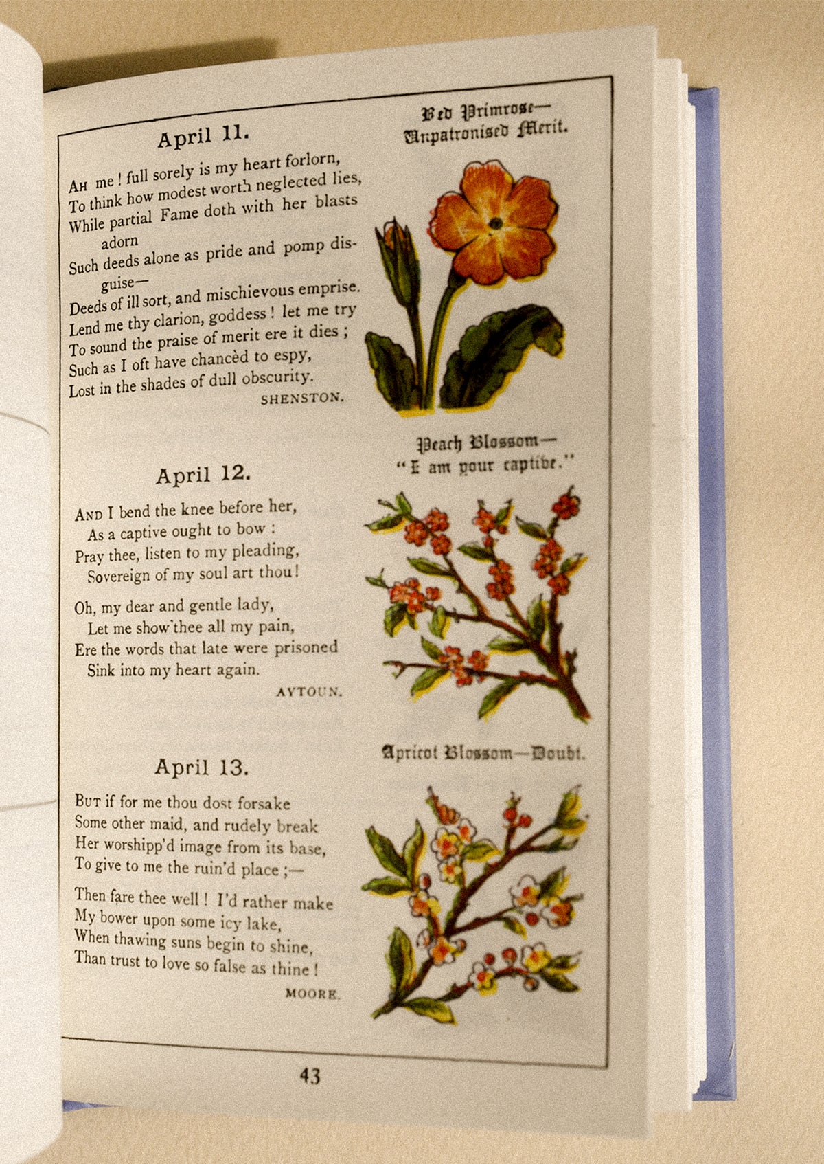 Interior pages of a book with poems and days of the year with corresponding flowers.