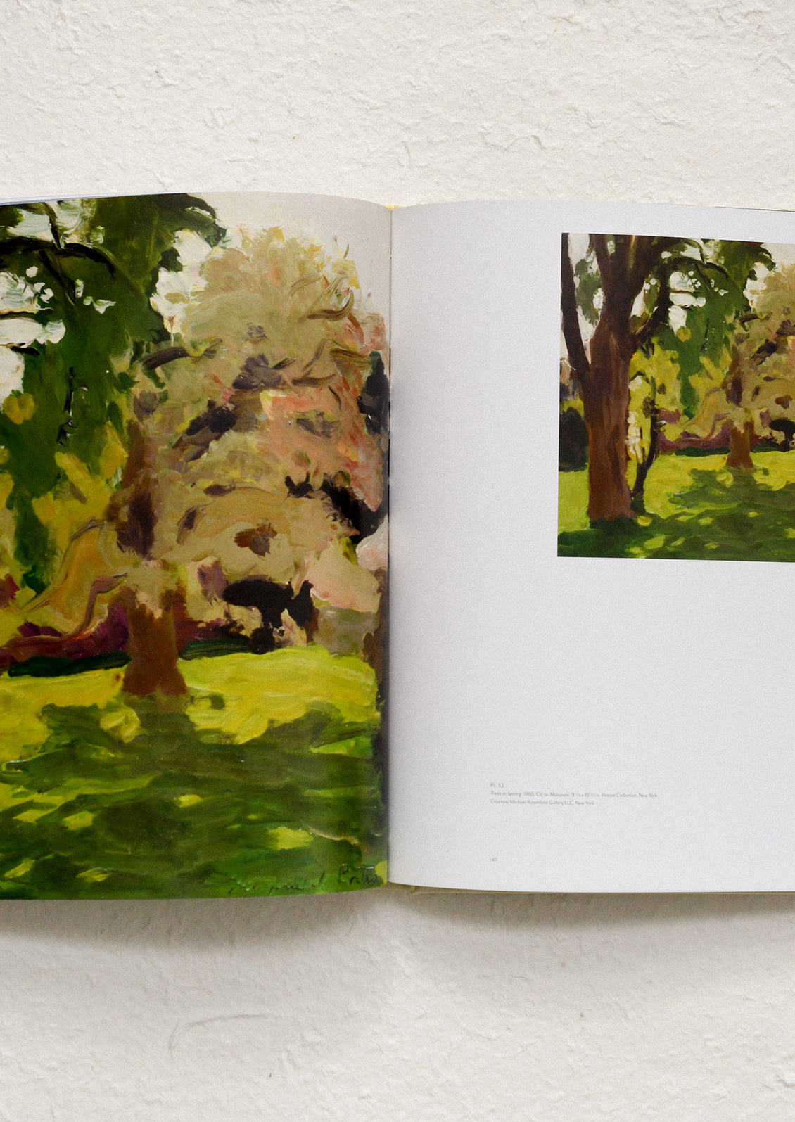 A coffee table art book about the work of painter Fairfield Porter.
