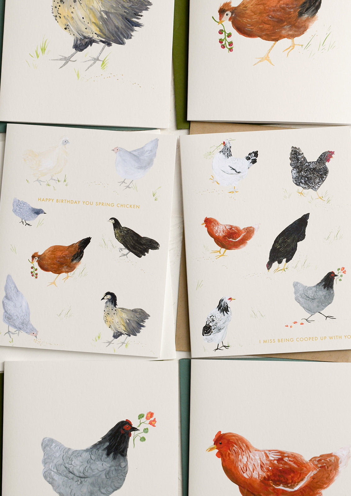 A set of greeting cards with illustrated chicken theme.