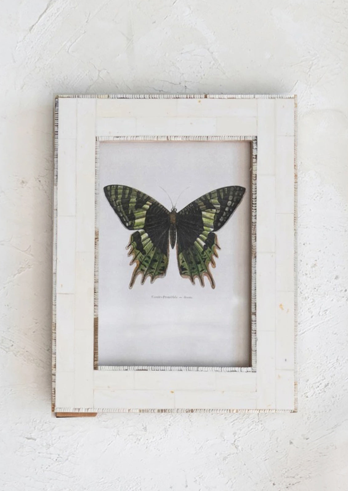 A cream picture frame with horn border.