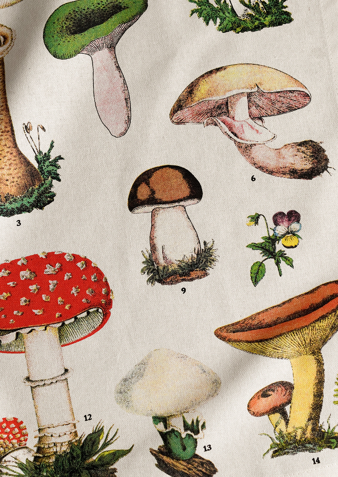 A set of four cotton dinner napkins with colorful mushroom species botanical print.