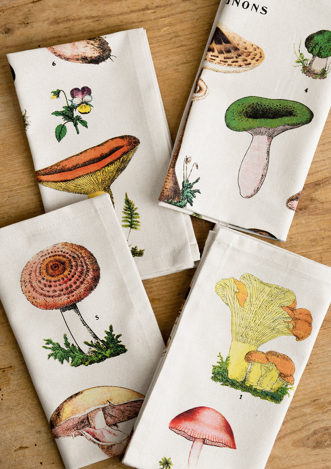 A set of four cotton dinner napkins with colorful mushroom species botanical print.