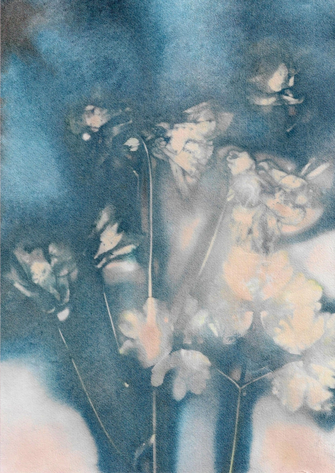 A botanical art print in cyanotype style in shades of blue and pink.
