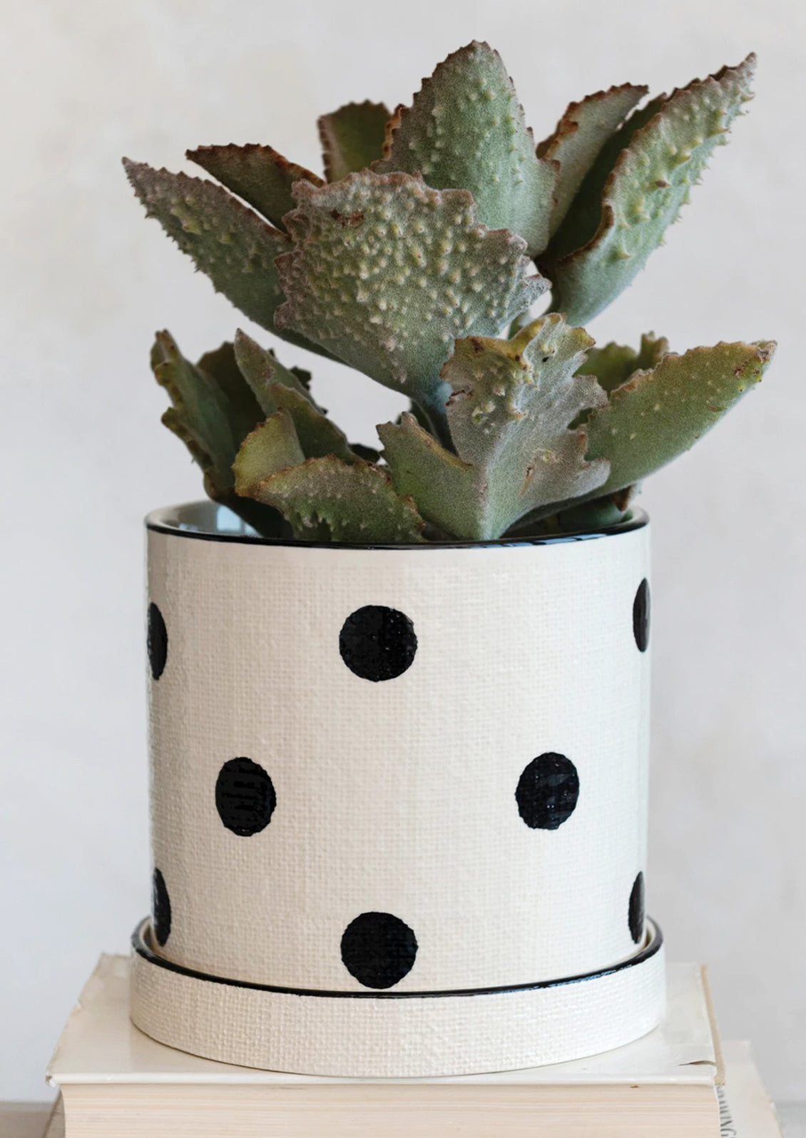 A polka dot ceramic planter in white with black dots, linen texture.