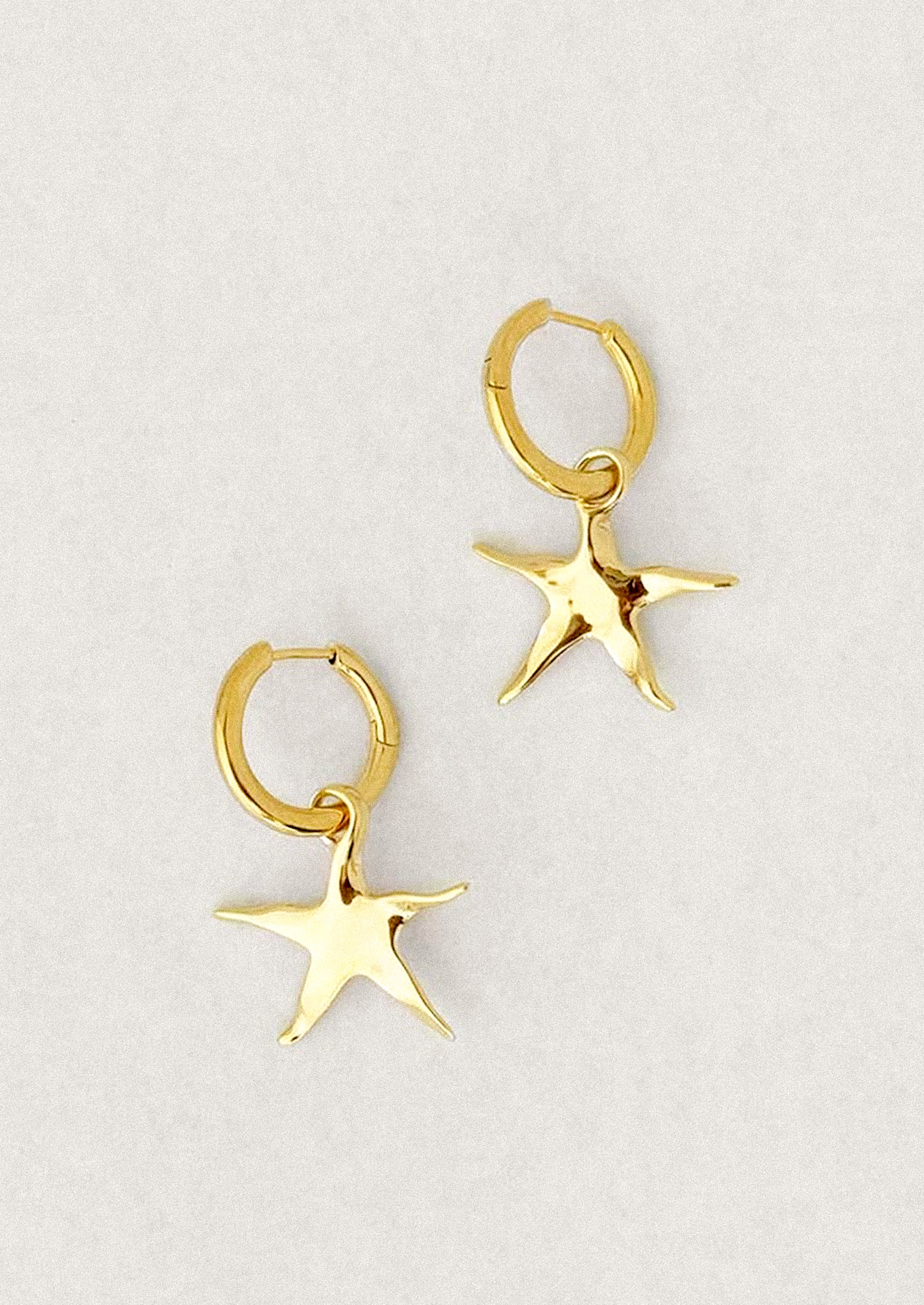 A pair of gold star earrings on hoop.