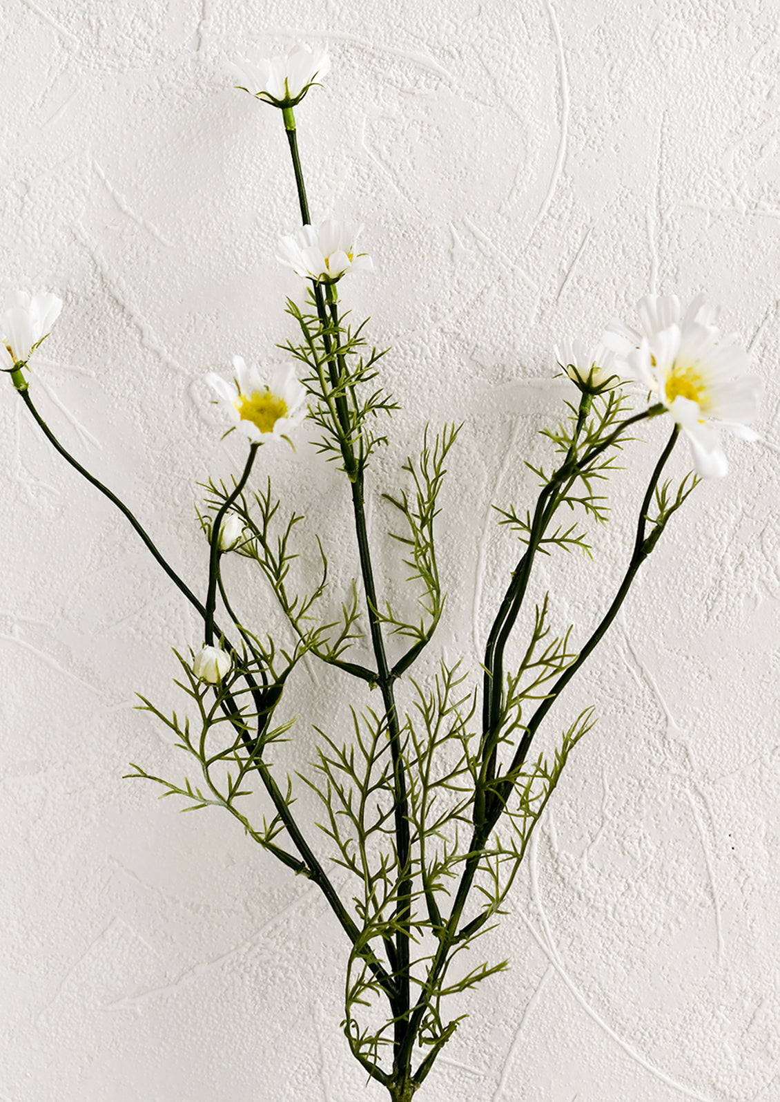 A faux white daisy stem.