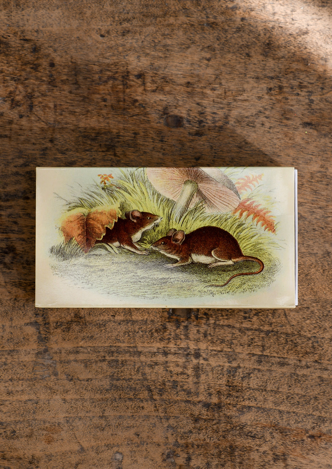 A printed, sliding matchbox with vintage style illustration of mice with mushroom.