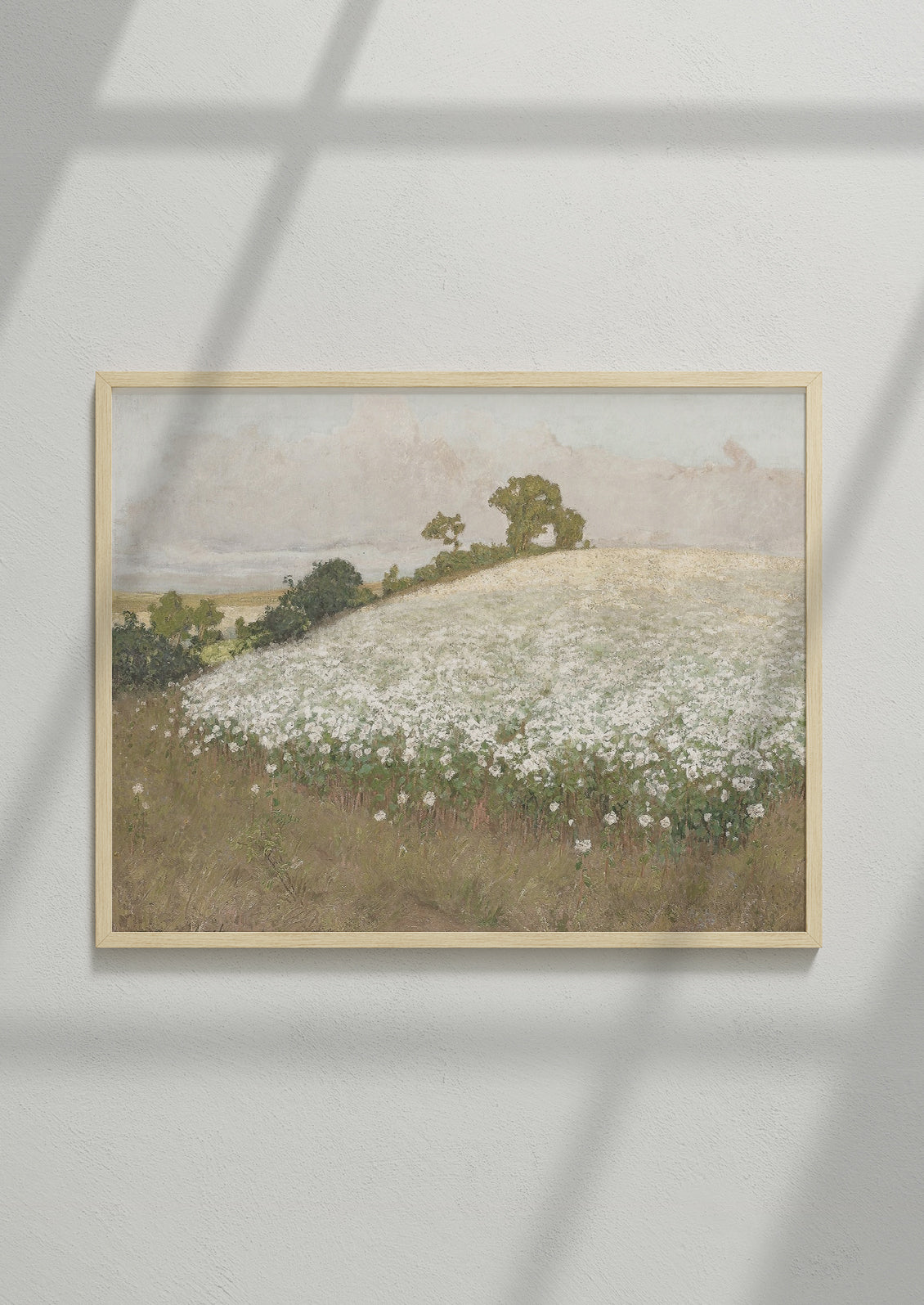 An antique inspired art print depicting a field of white flowers.
