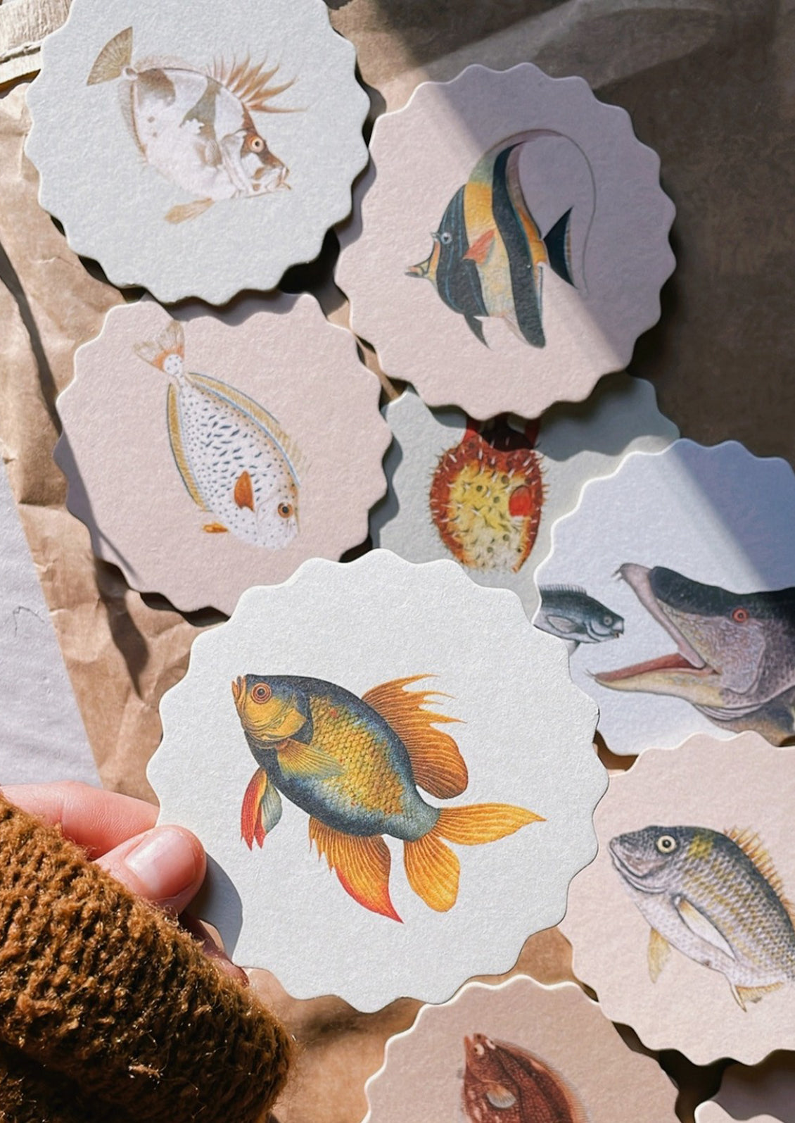 A set of scalloped edge paper coasters with 10 different fish prints.