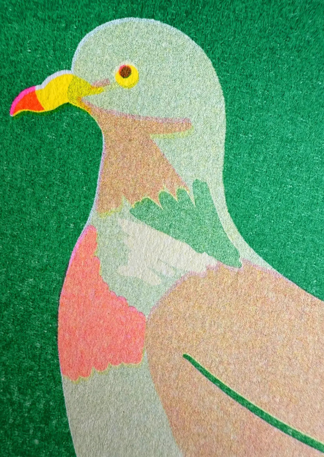 Illustration of a pigeon on a green background