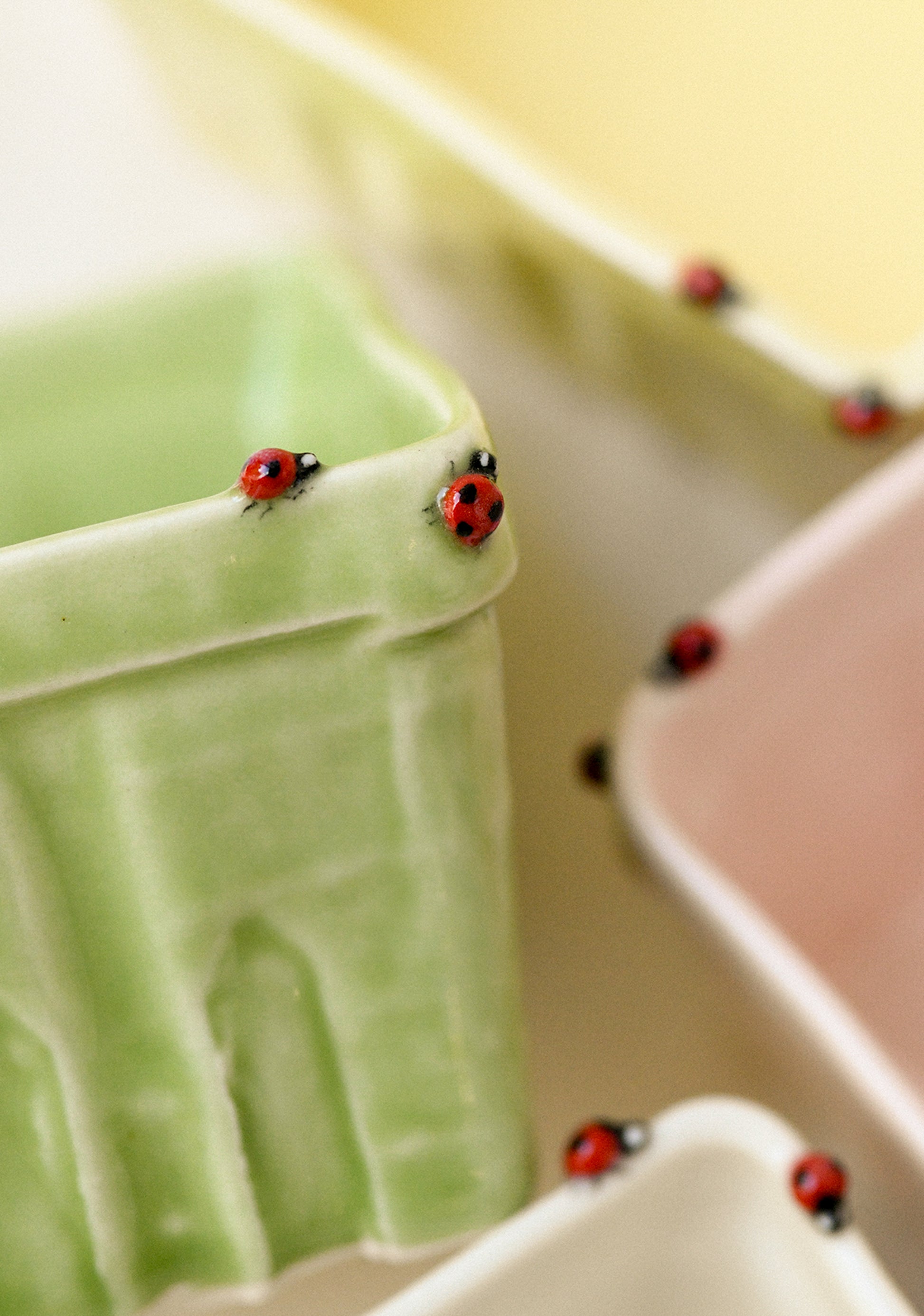 Colorful ceramic berry baskets adorned with little ladybugs.