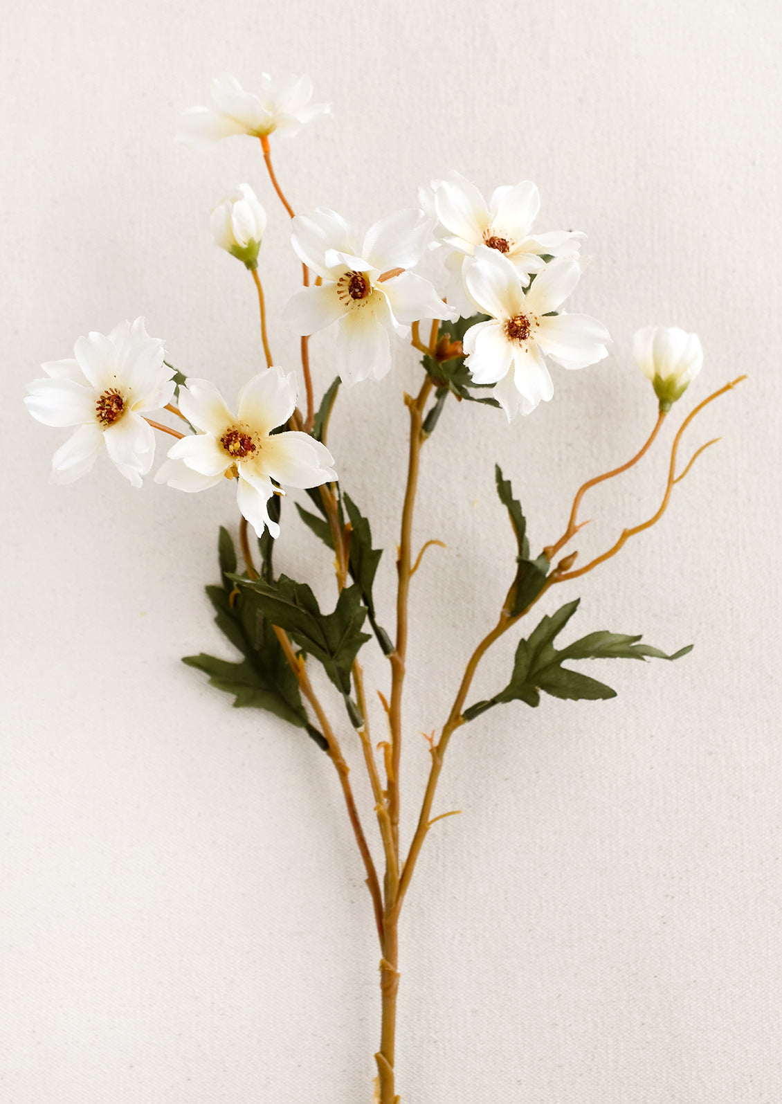 A faux floral spray depicting cosmos flowers in white.