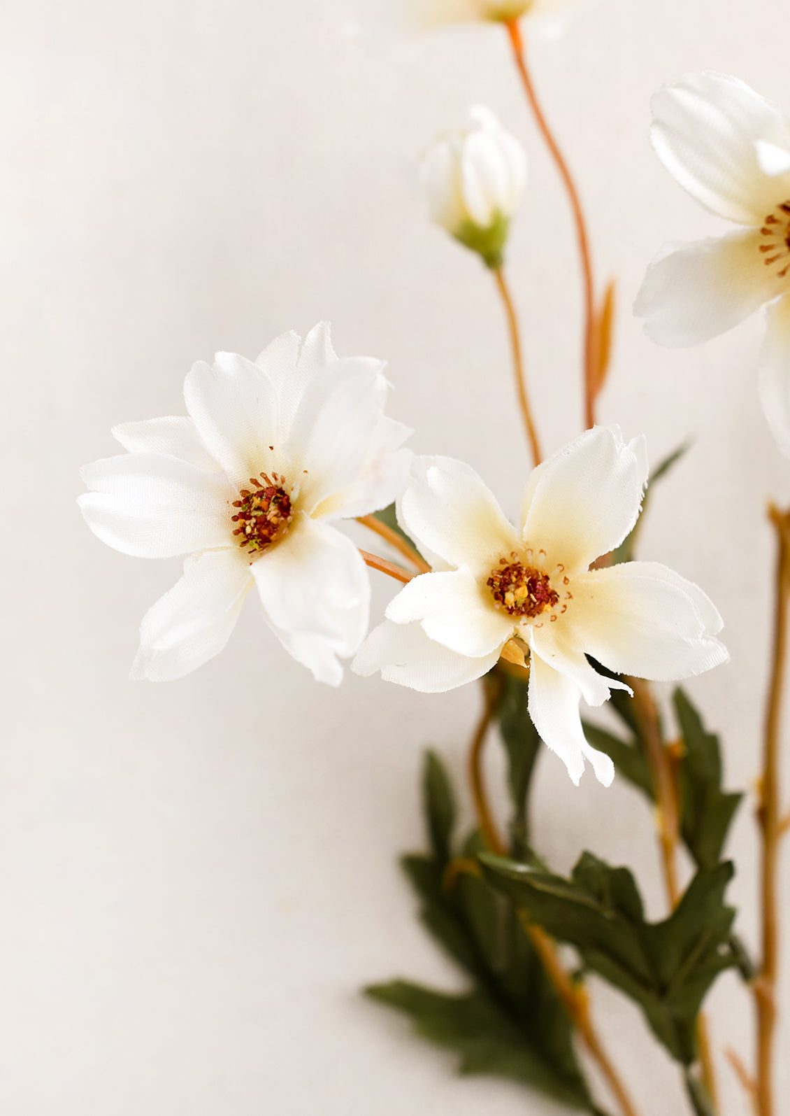 A faux floral spray depicting cosmos flowers in white.