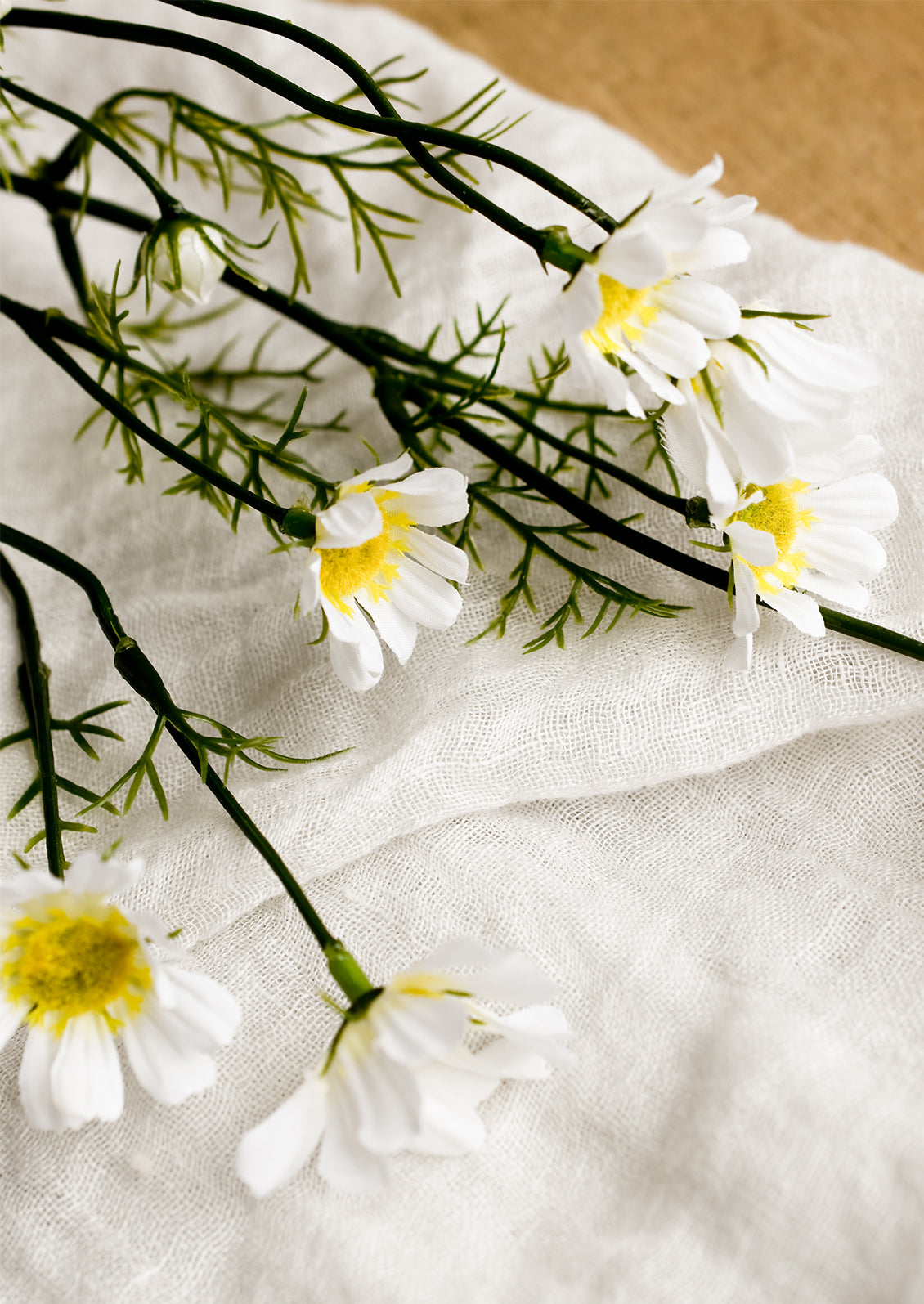 A faux white daisy stem.