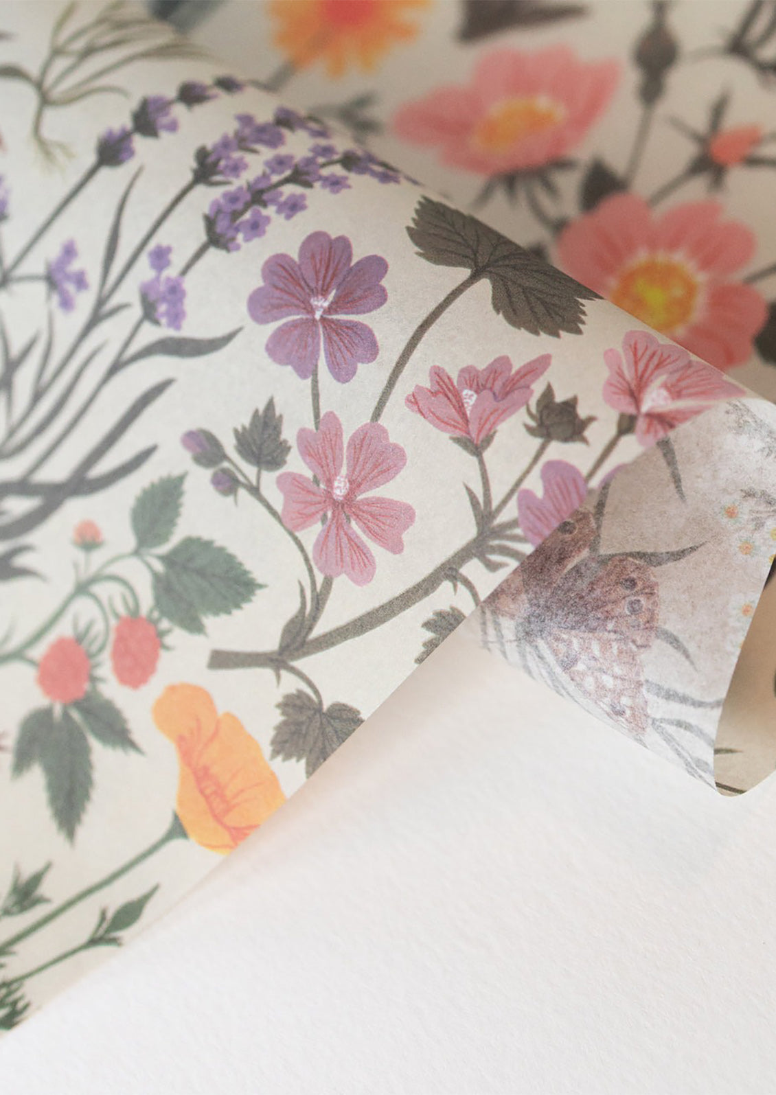Botanical print tissue paper.