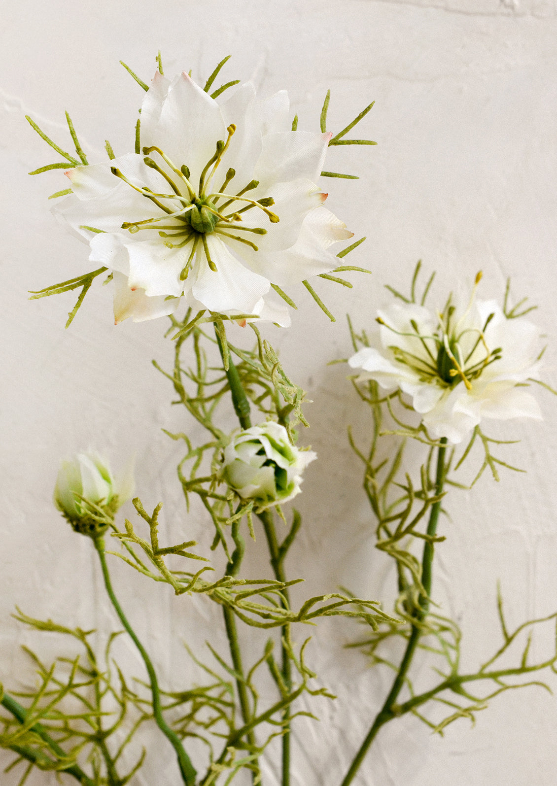 A faux flower stem depicting a white nigella flower.