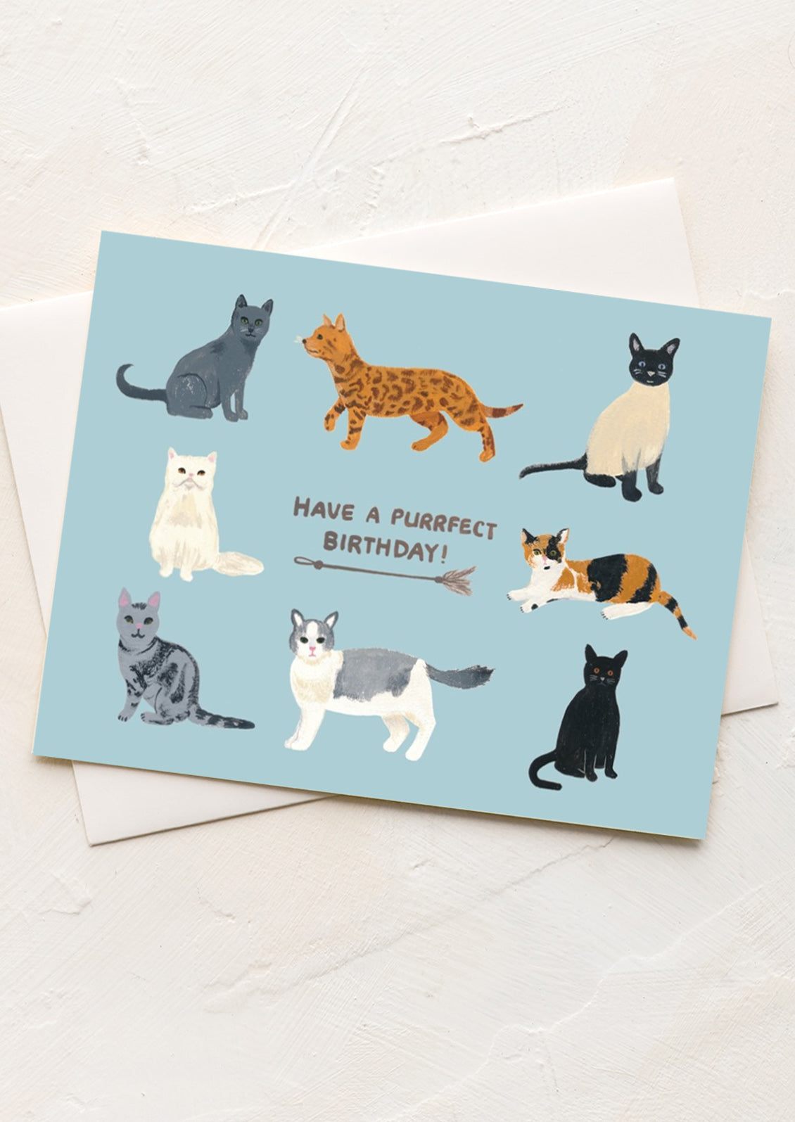 Greeting card with illustrations of cats and text 'Have a purrfect birthday!' on a light blue background.
