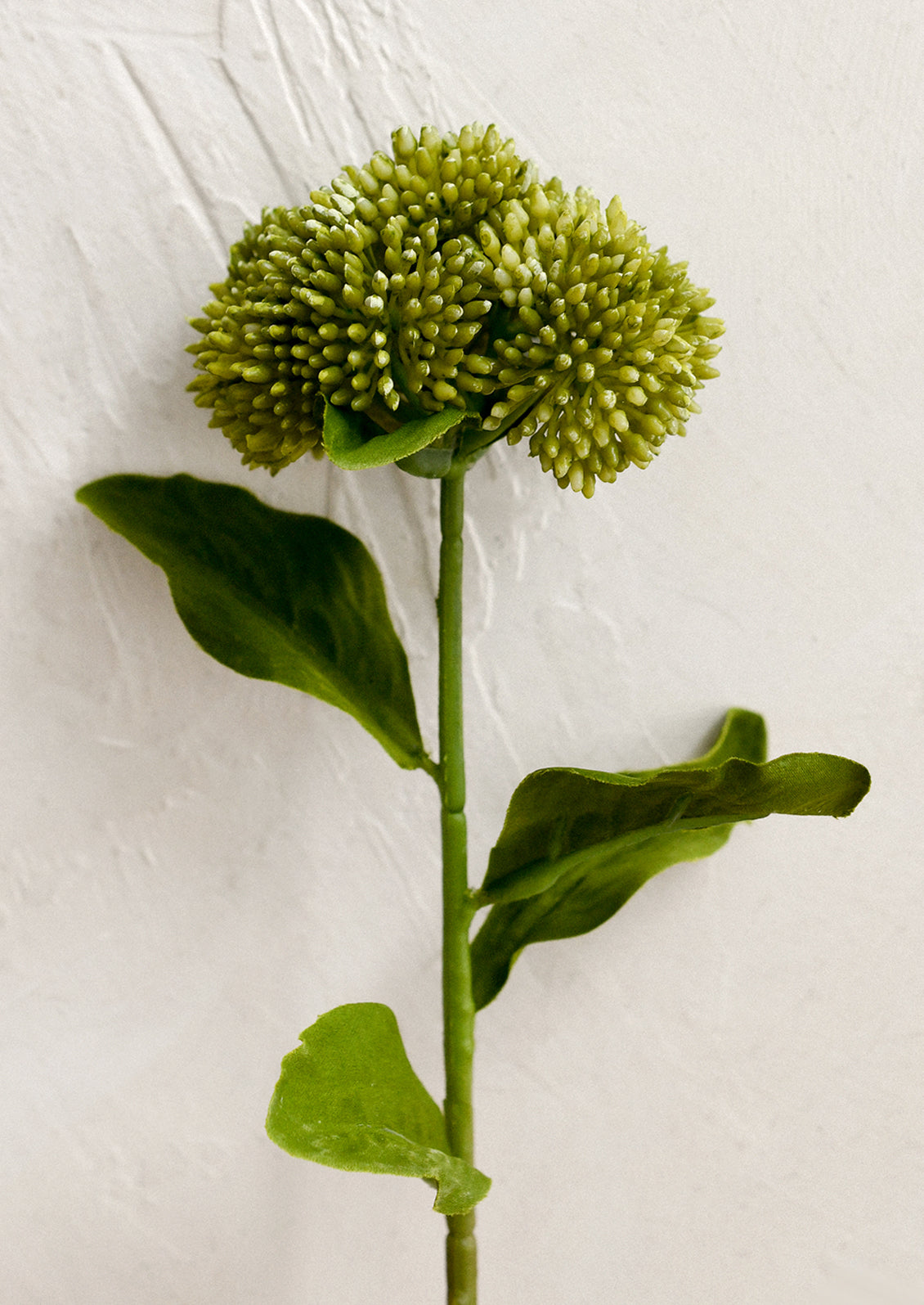 A faux floral pick resembling a green sedum.
