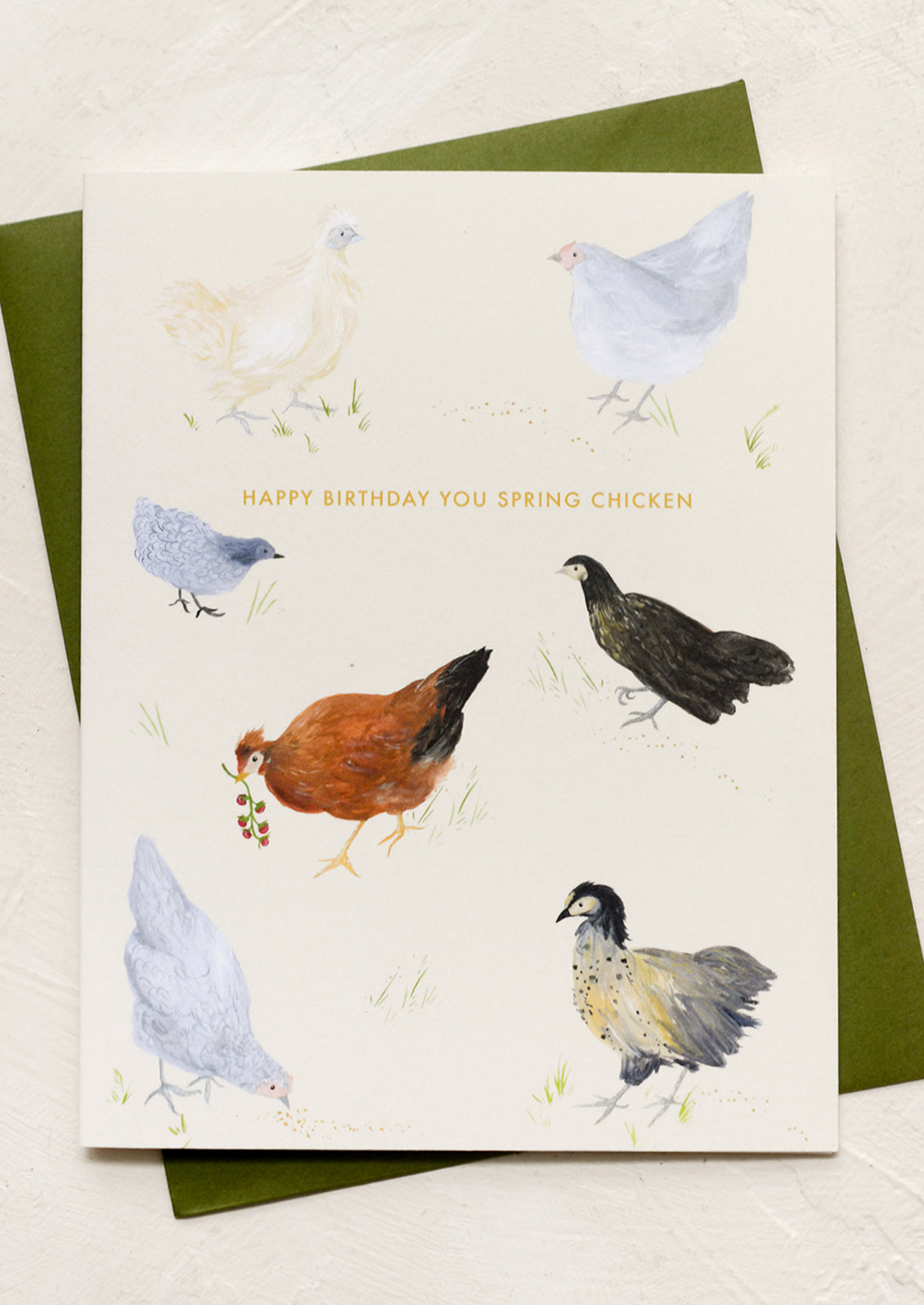 A chicken print card, text reads "happy birthday you spring chicken".
