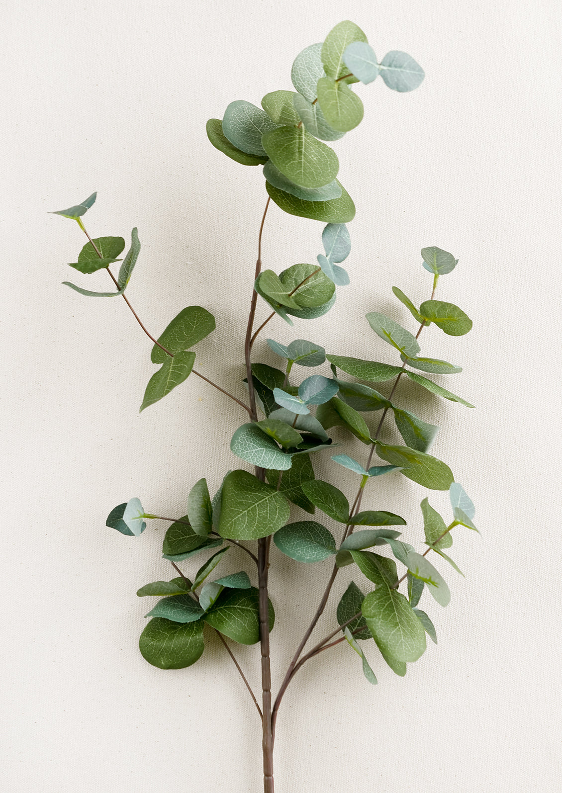 A faux green eucalyptus spray.