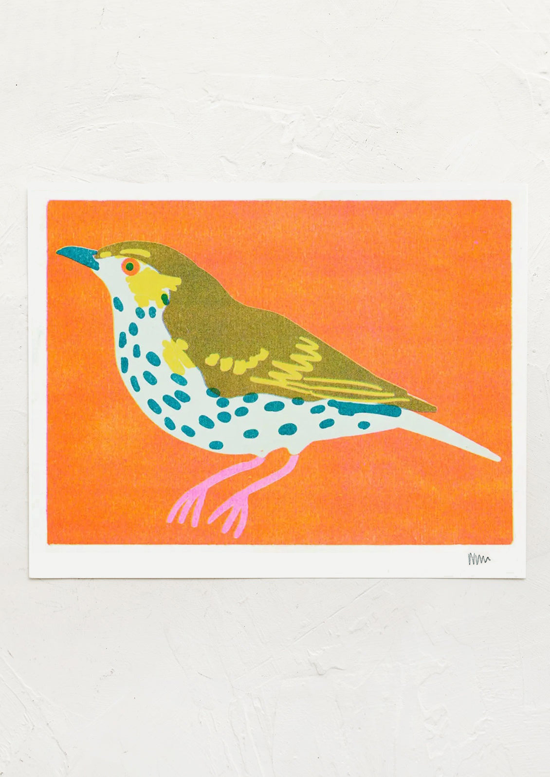 Colorful bird illustration on an orange background
