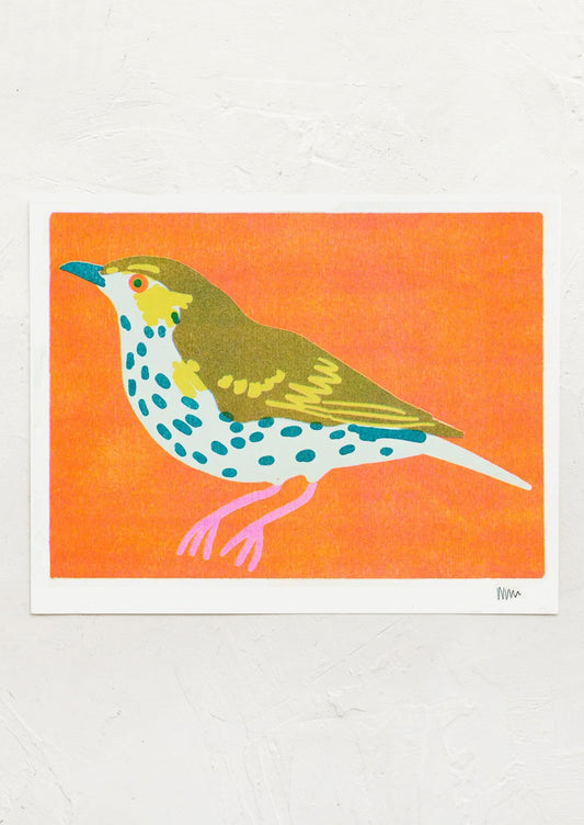Colorful bird illustration on an orange background