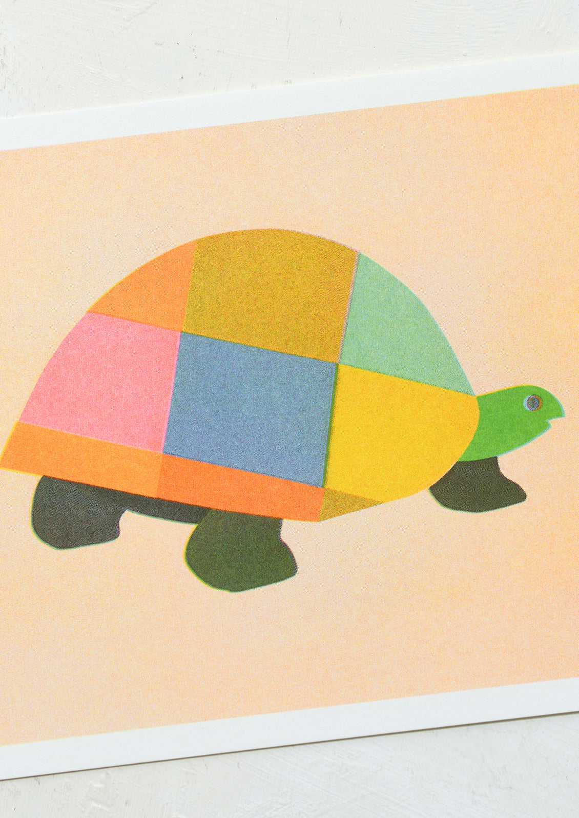 A risograph art print of multicolor turtle on peach background.