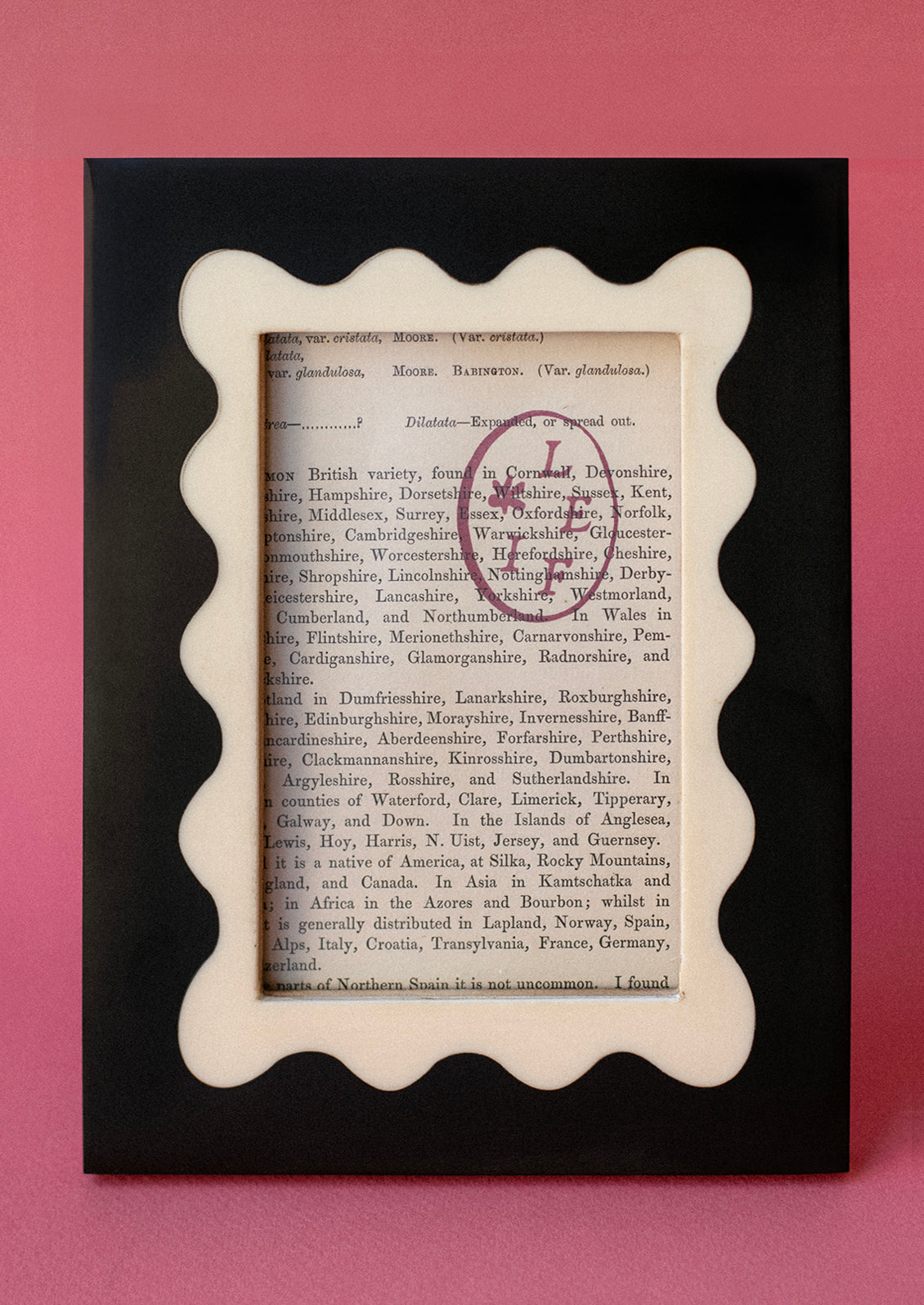 A black picture frame with cream squiggle frame around picture opening.