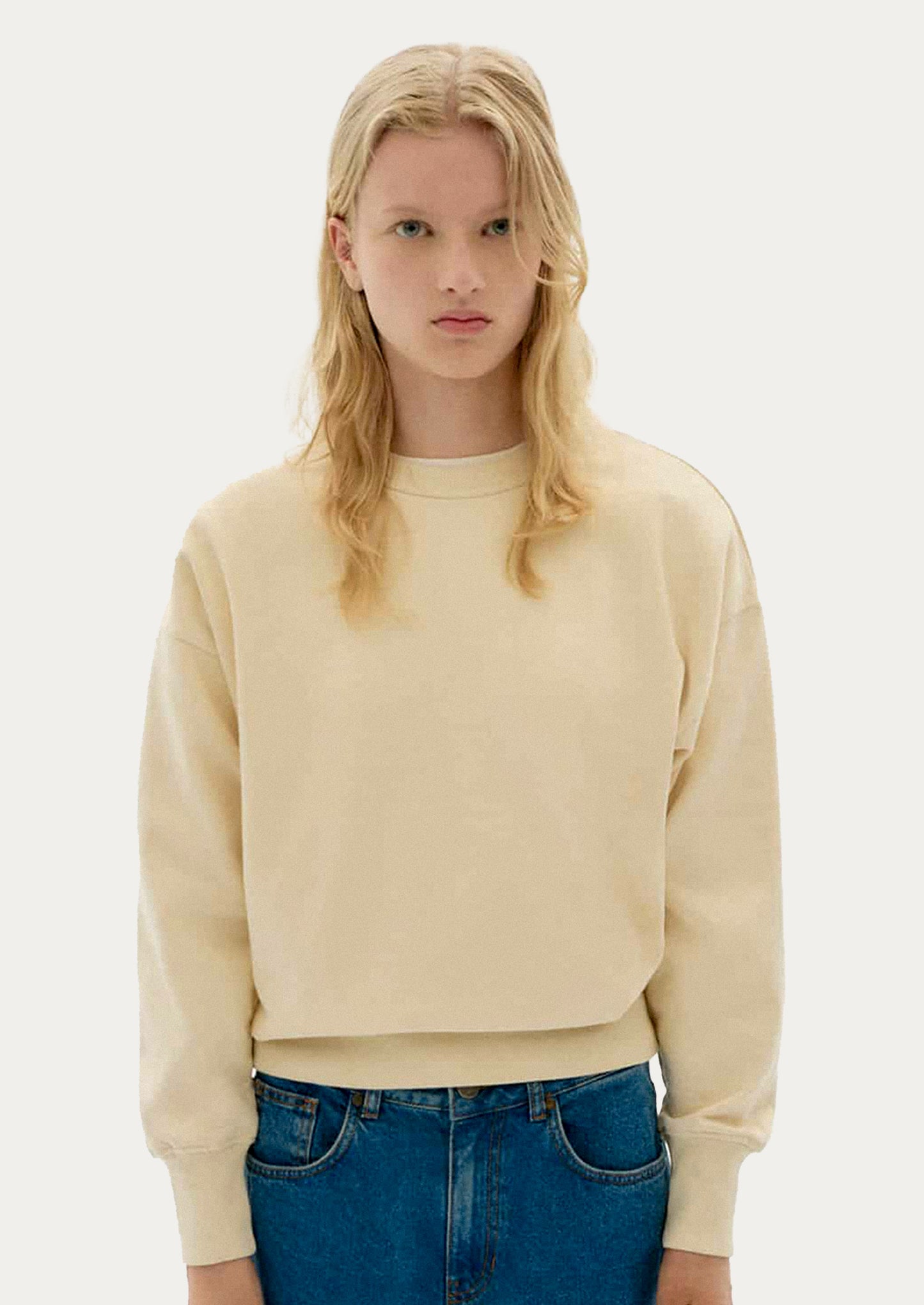 Beige sweatshirt with swallowtail bird applique detailing on back.