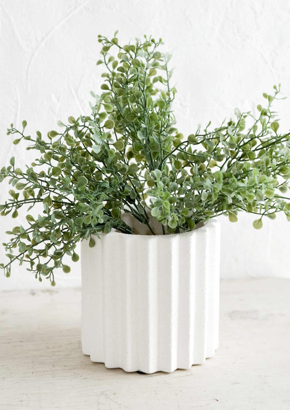 A geometric groove textured planter with plant.