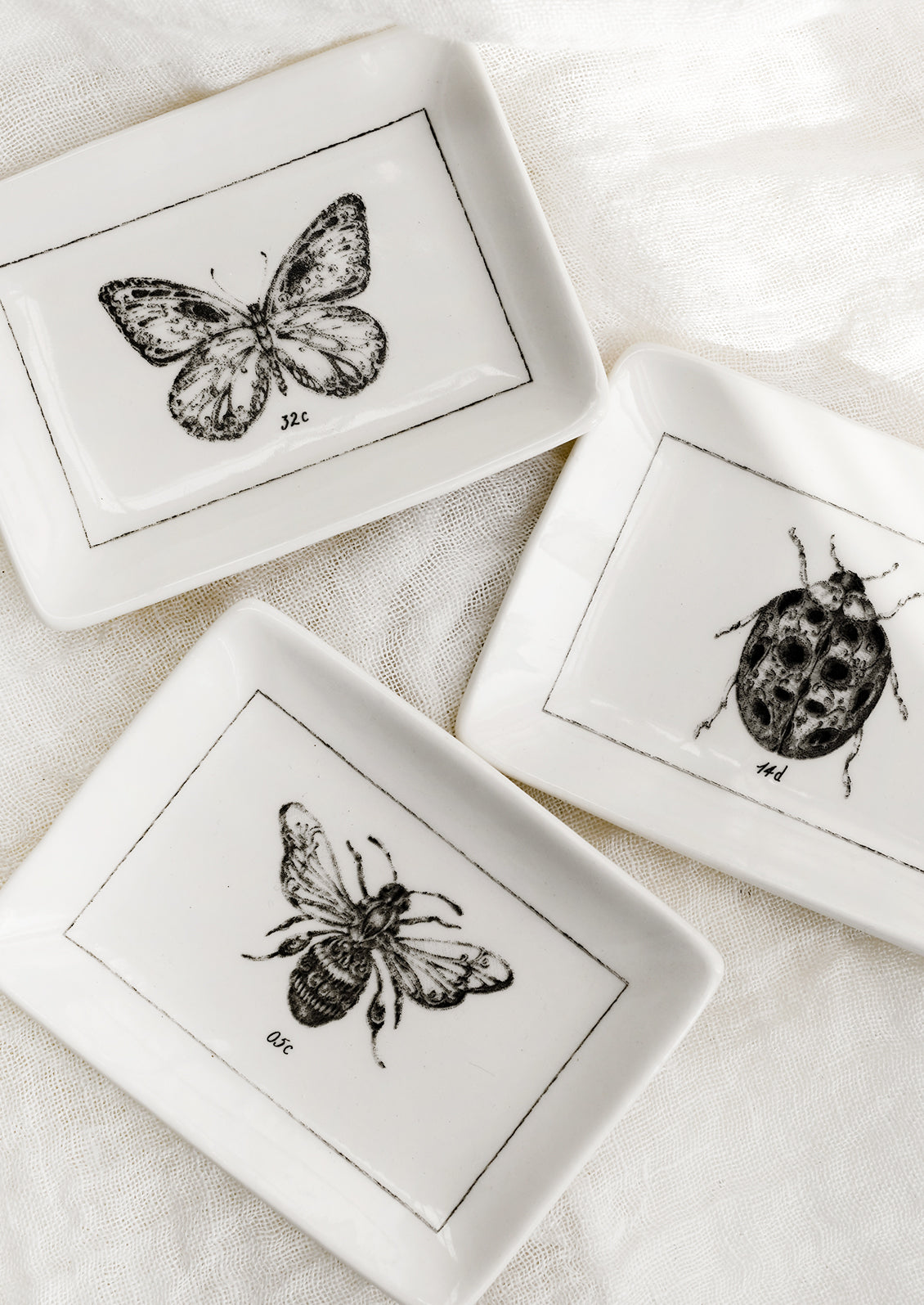Black and white trinket dishes with assorted insects.