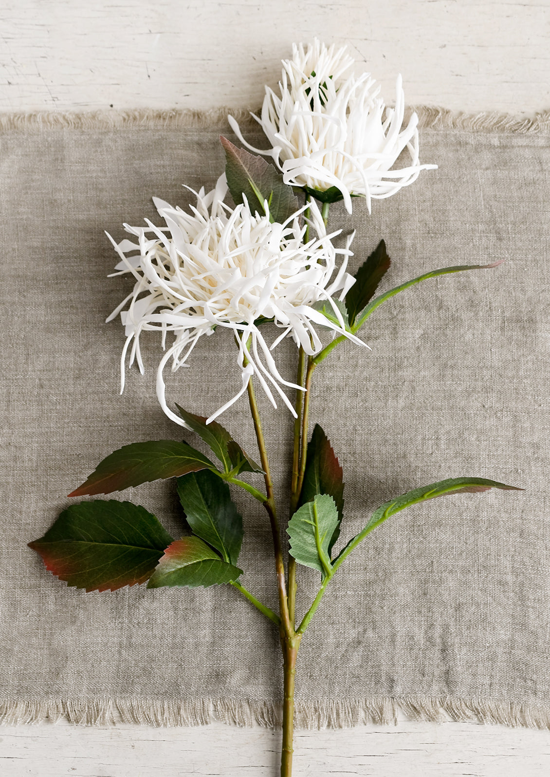 A faux chrysanthemum stem with white flowers.