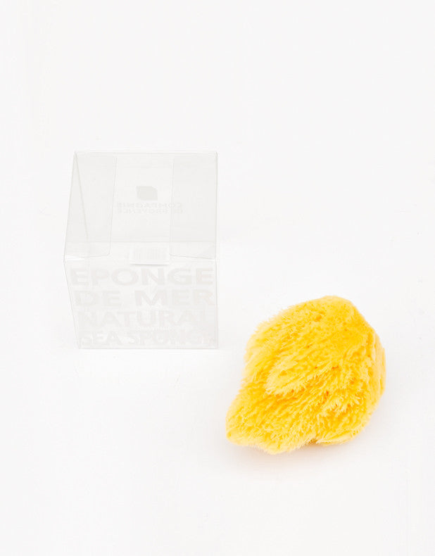 Natural Sea Sponge in  - LEIF