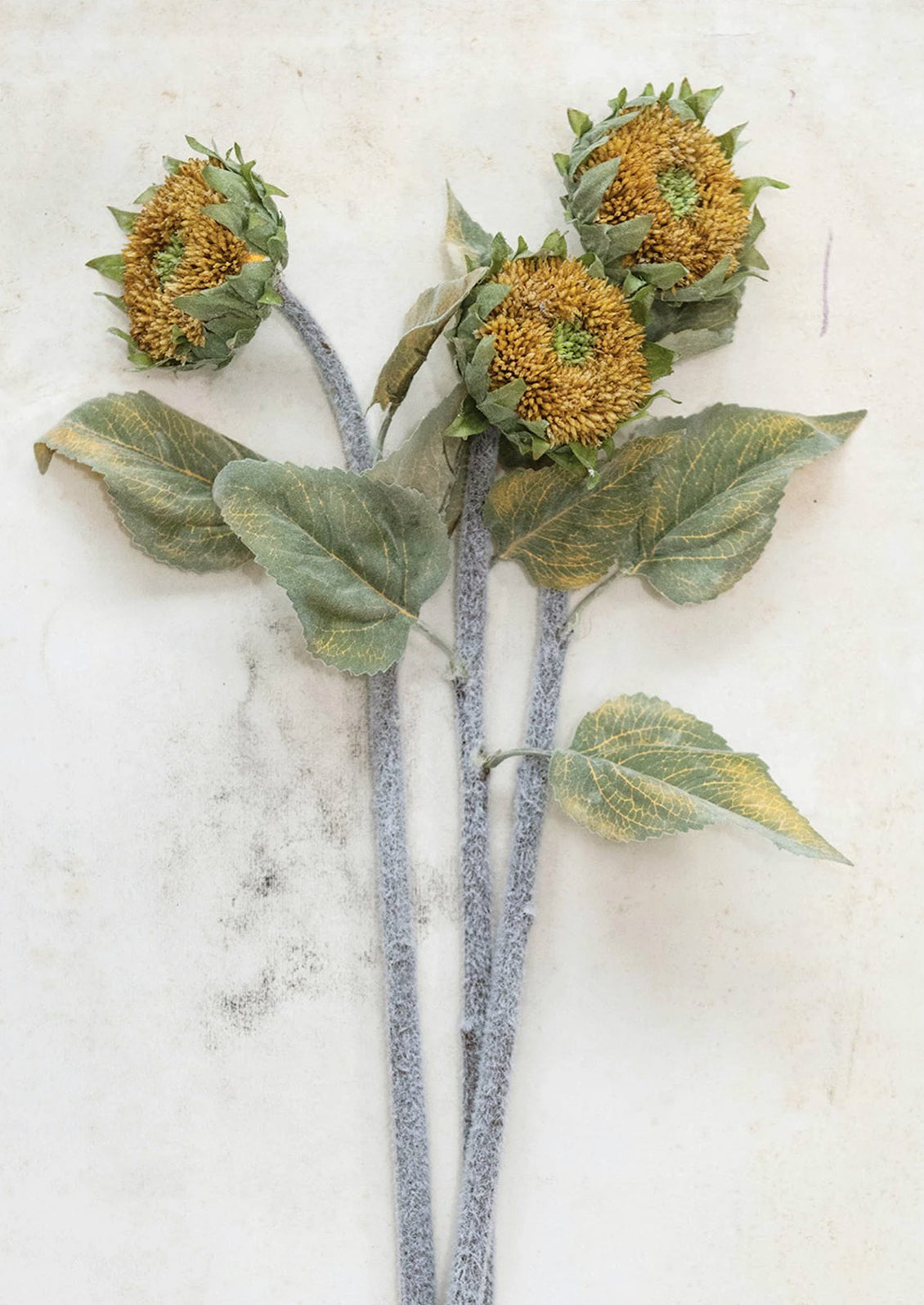 Multiple faux sunflower stems.