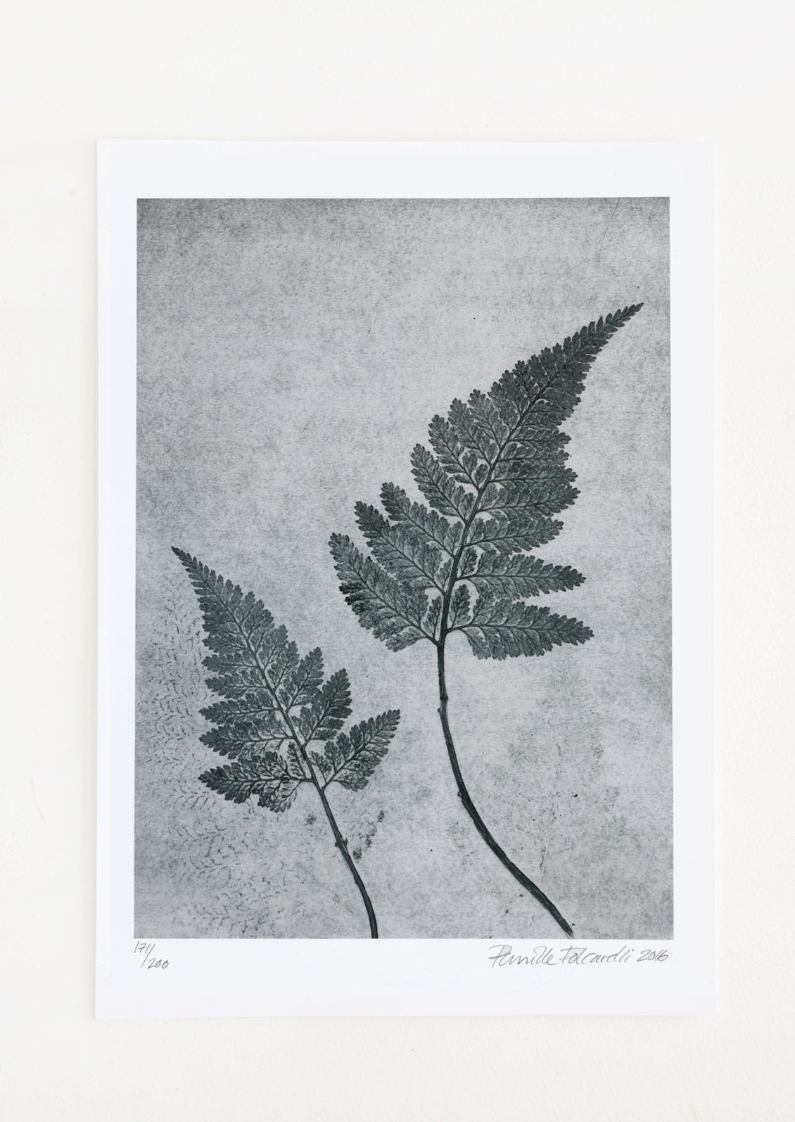 A botanical print of fern fronds in dusty blue.